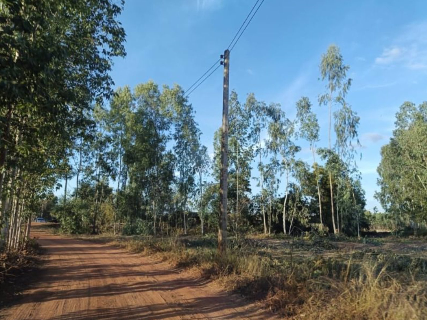 ขายที่ดินใกล้ชุมชนบ้านเทื่อม-เนื้อที่-2-ไร่