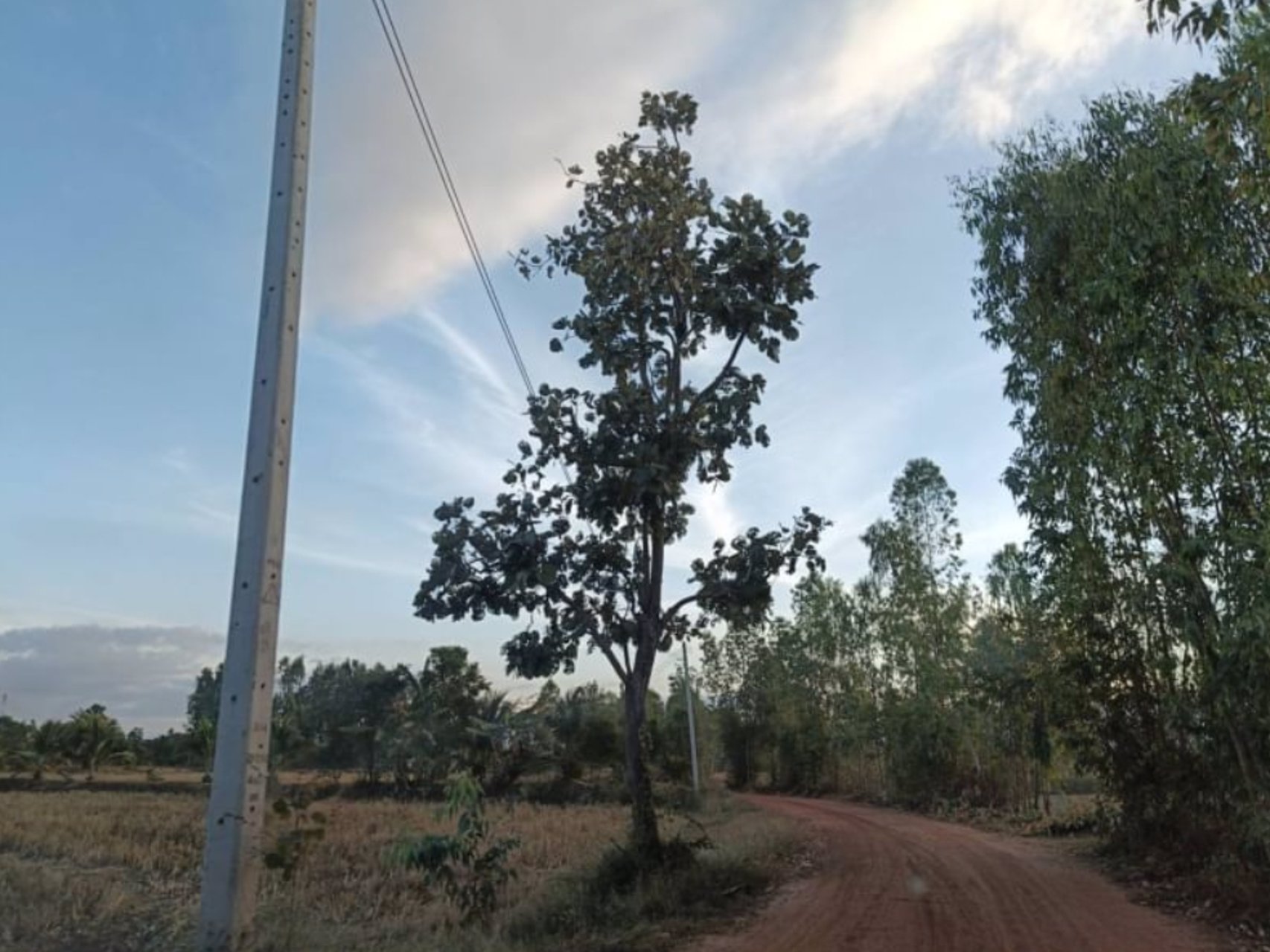 ขายที่ดินใกล้ชุมชนบ้านเทื่อม-เนื้อที่-2-ไร่