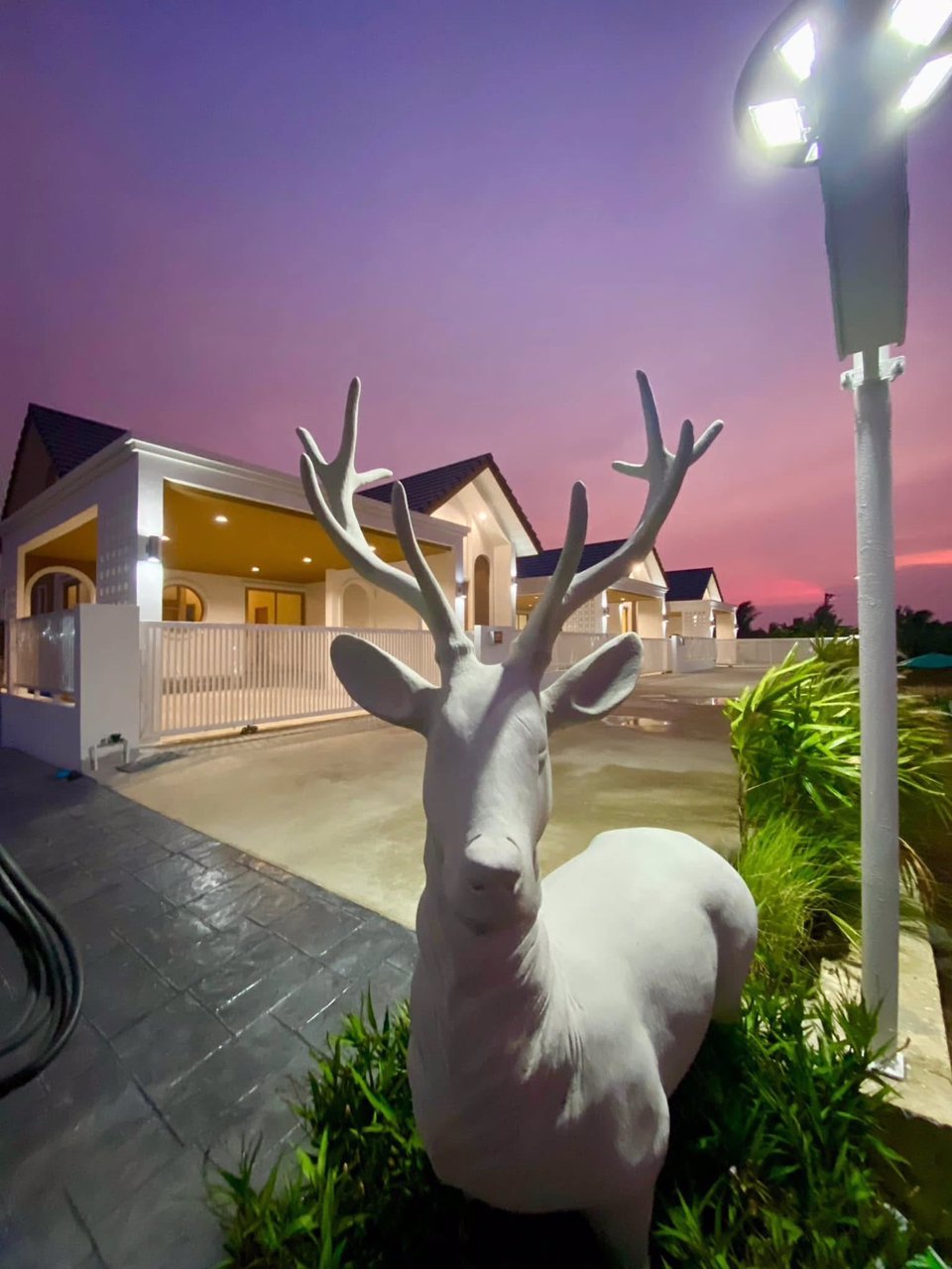 ด่วน-ก่อนจะพลาดโอกาสสำคัญนี้ไป-บ้านเดี่ยว-ที่ดินขนาดใหญ่-100-ตรว