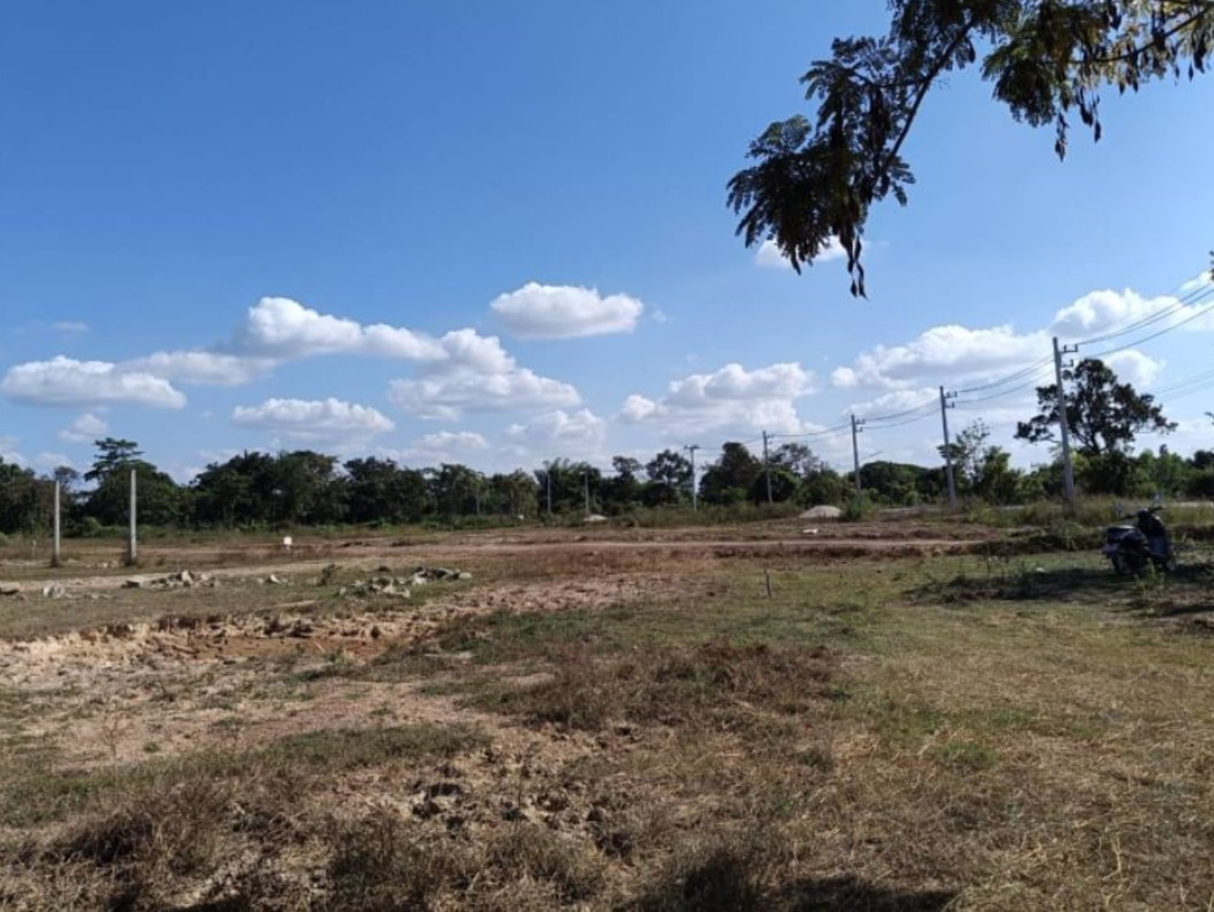 ขายที่ดิน-เนื้อที่-70-ตรว-ราคา-99000บาท