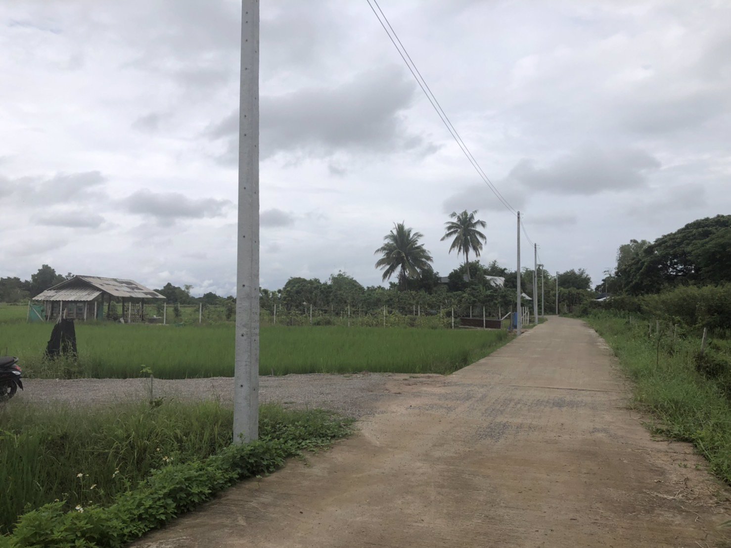 ขายที่ดิน-แปลงที่มีพื้นที่-3-ไร่-อสันป่าตอง-จเชียงใหม่