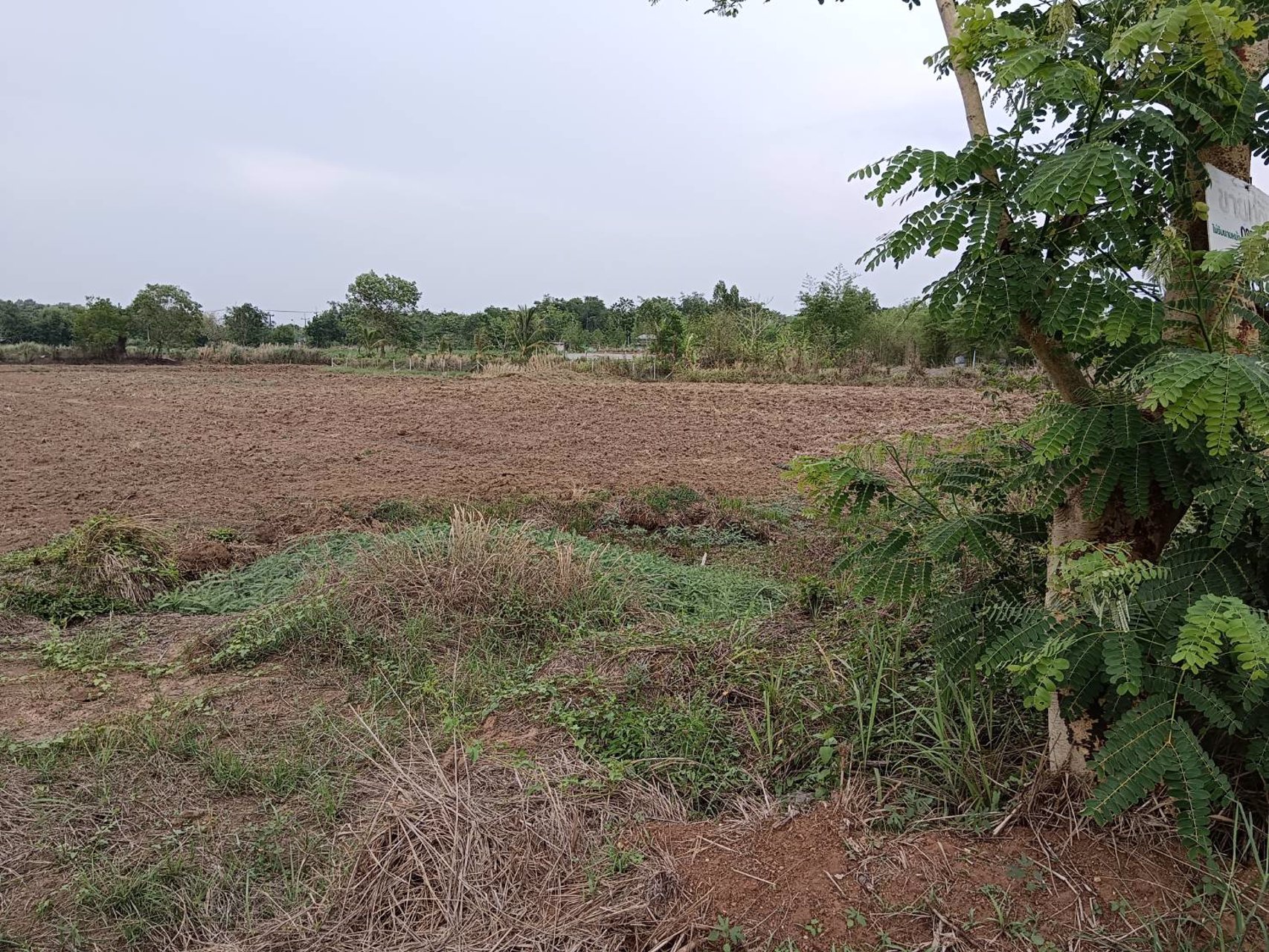 ขายที่ดิน-เนื้อที่-3-ไร่-69-ตรว-ในเขตอุตสหกรรมเครือสหพัฒ-ฯ