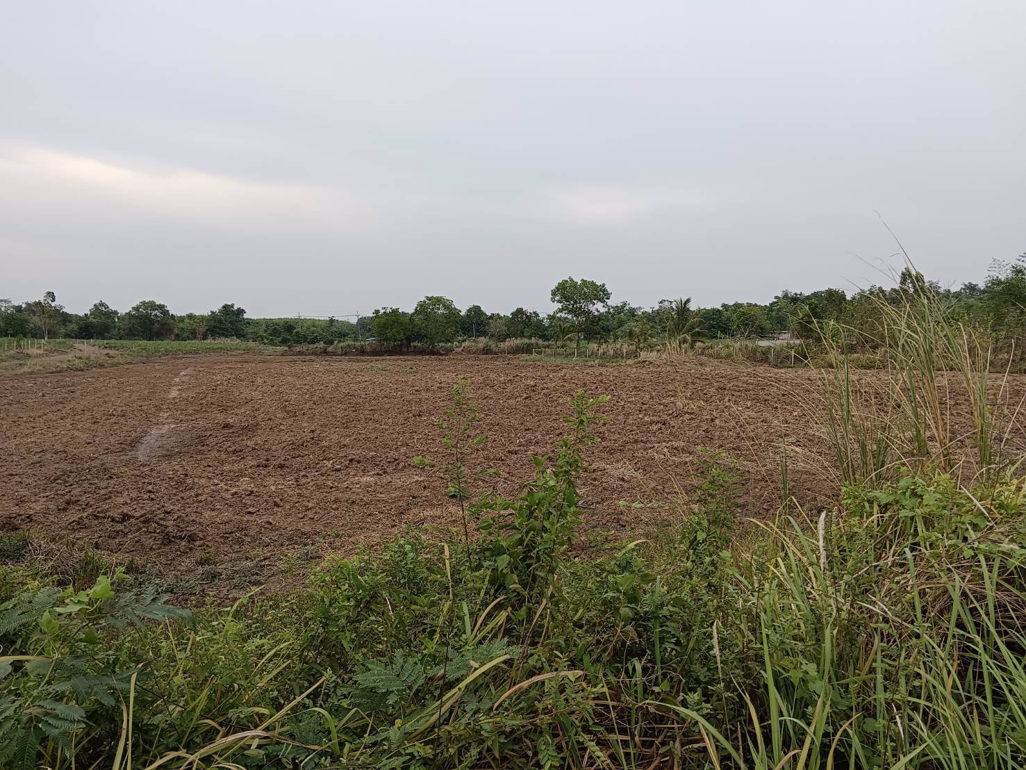 ขายที่ดิน-เนื้อที่-3-ไร่-69-ตรว-ในเขตอุตสหกรรมเครือสหพัฒ-ฯ