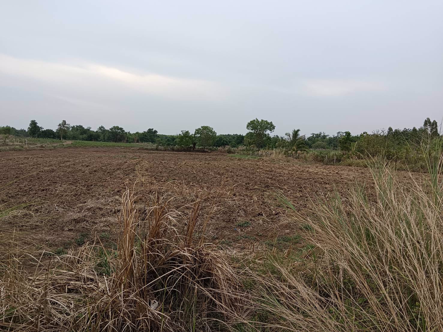 ขายที่ดิน-เนื้อที่-3-ไร่-69-ตรว-ในเขตอุตสหกรรมเครือสหพัฒ-ฯ