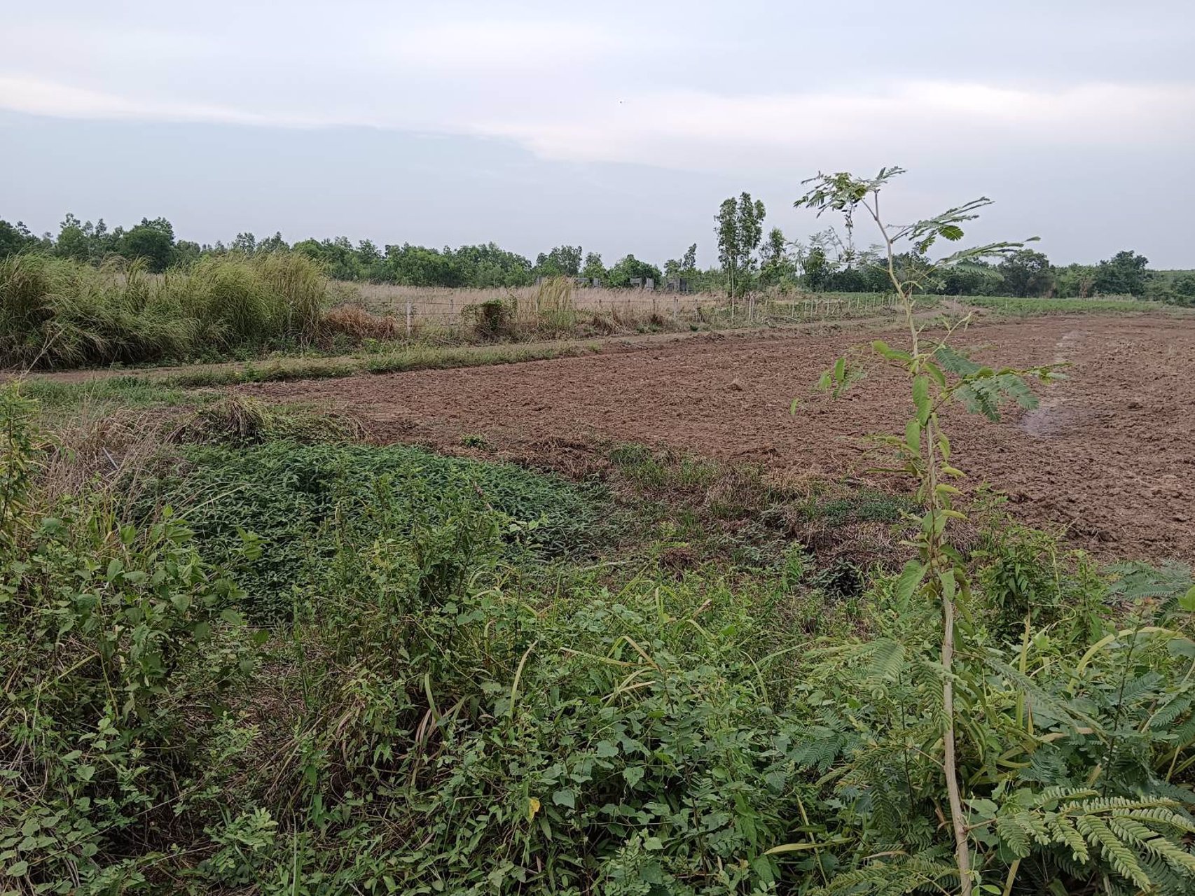 ขายที่ดิน-เนื้อที่-3-ไร่-69-ตรว-ในเขตอุตสหกรรมเครือสหพัฒ-ฯ