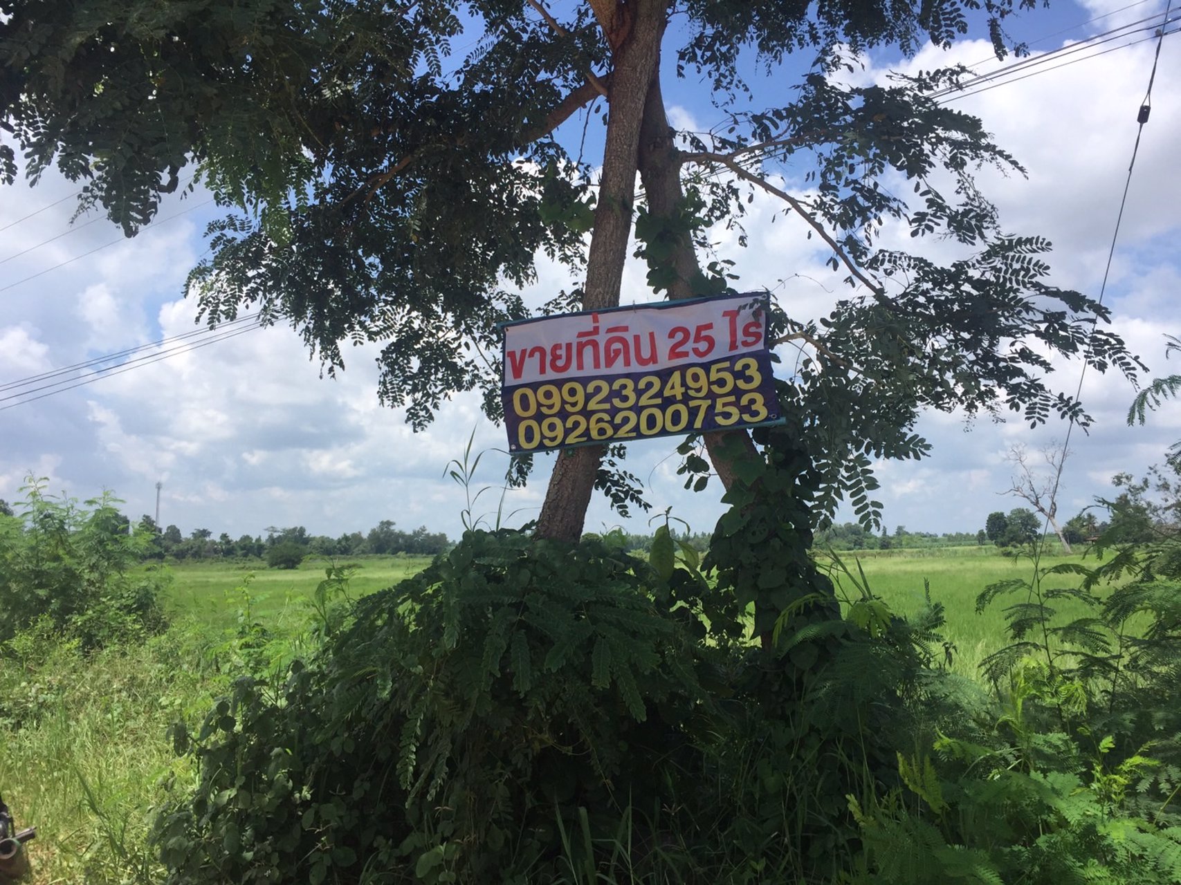 ขายที่ดิน-25-ไร่-อเมือง-จขอนแก่น