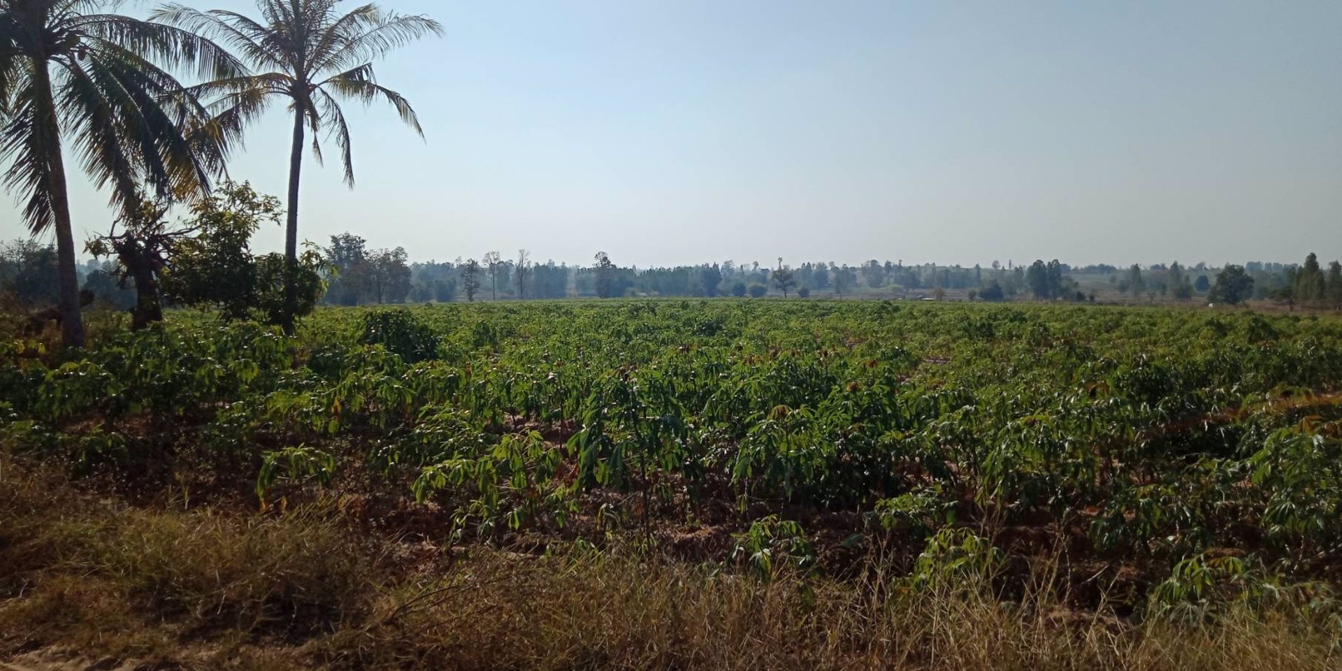 ขายที่ดิน-25-ไร่-อเมือง-จขอนแก่น