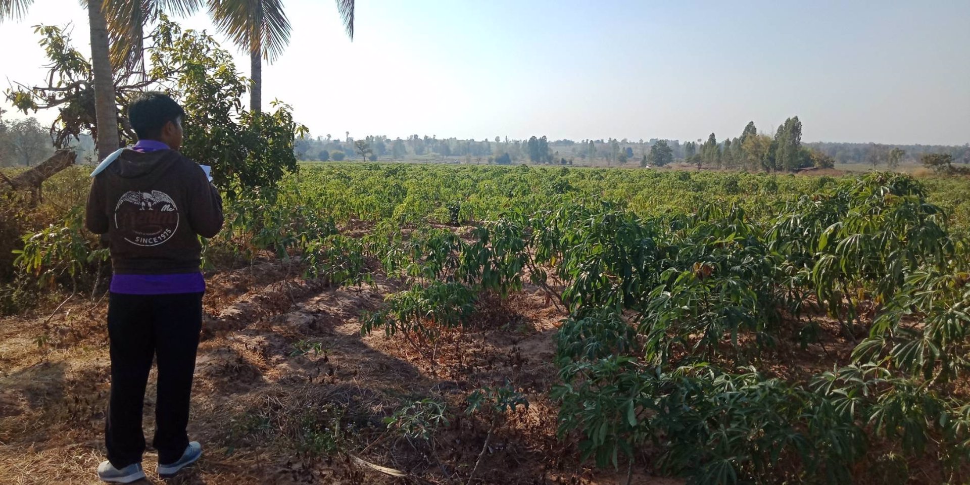 ขายที่ดิน-25-ไร่-อเมือง-จขอนแก่น