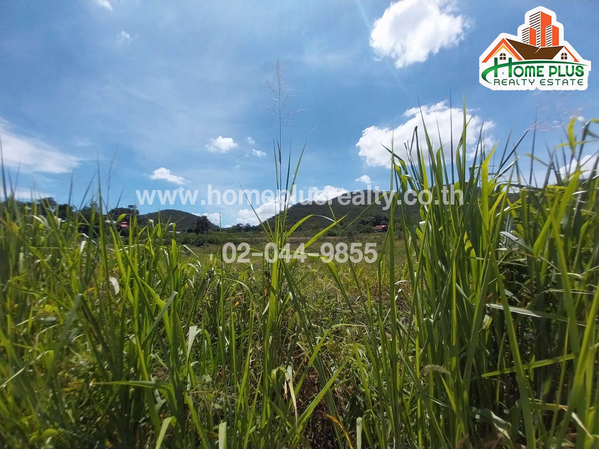 ที่ดินใกล้สนามกอล์ฟปากช่องไฮแลนด์-อำเภอปากช่อง-นครราชสีมา-เนื้อที่-1-ไร่-19-ตารางวา