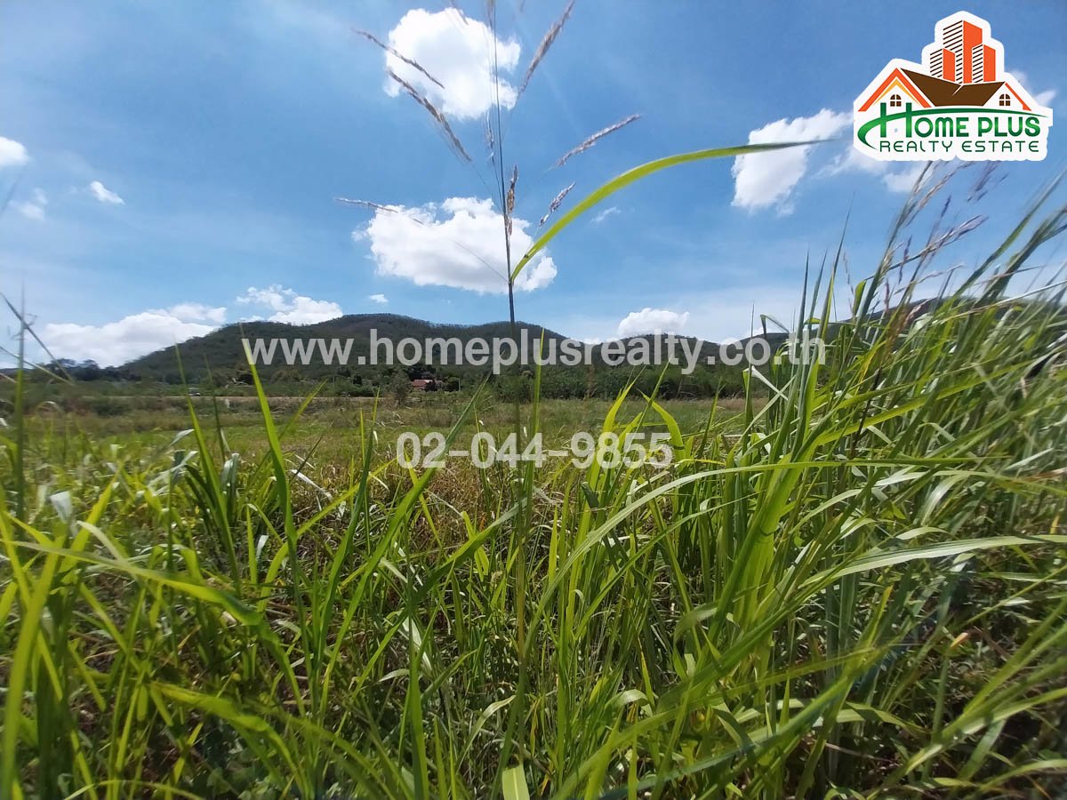 ที่ดินใกล้สนามกอล์ฟปากช่องไฮแลนด์-อำเภอปากช่อง-นครราชสีมา-เนื้อที่-1-ไร่-19-ตารางวา