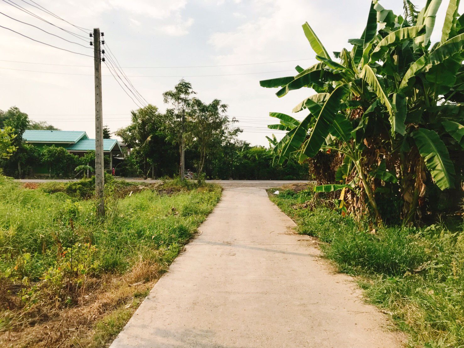 ขายสวน-2งาน-ตวังกระโจม-อเมือง-จนครนายก-ห่างตัวเมือง-3กม-ดินดีเหมาะทำเกษตร