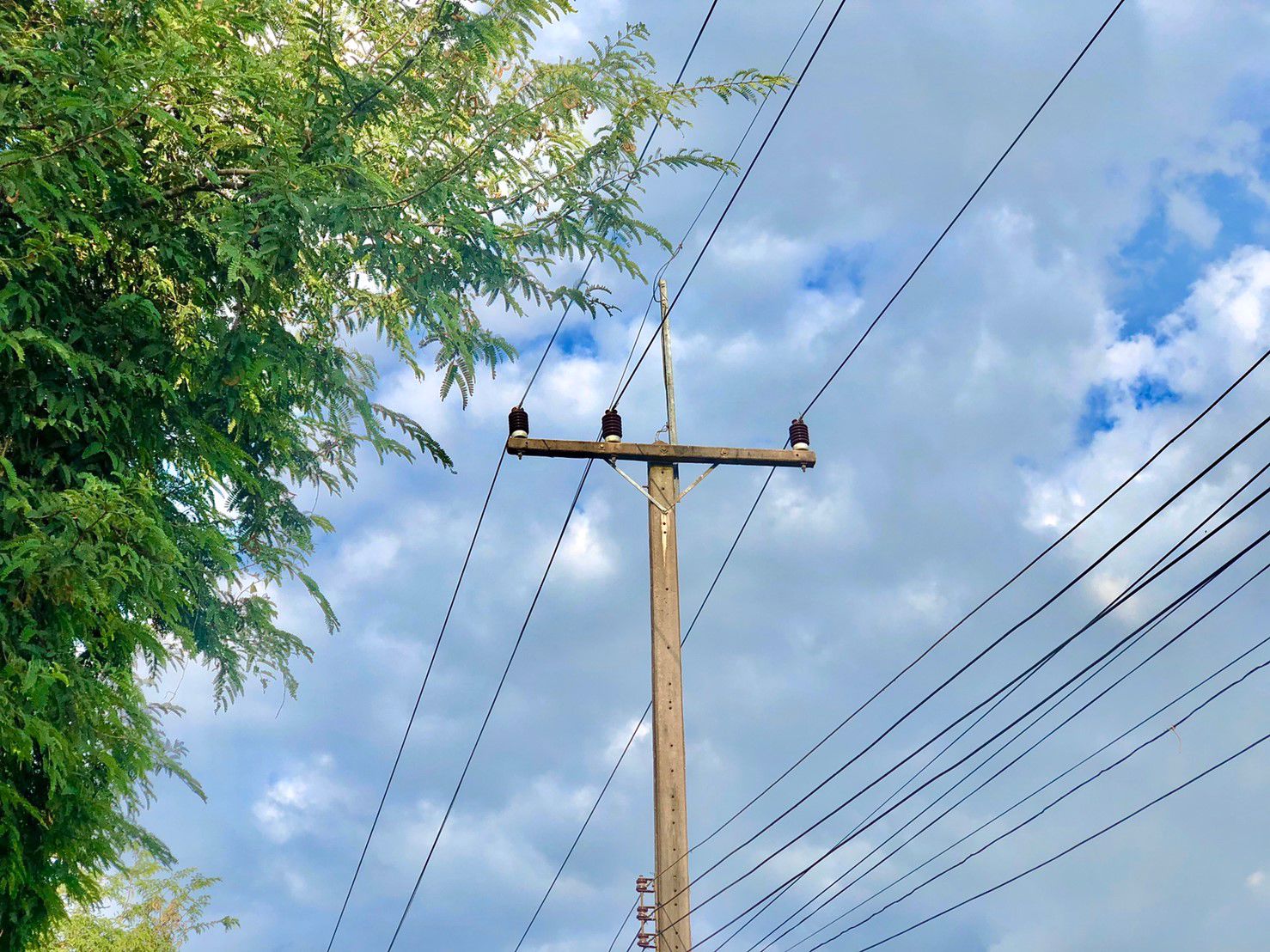 ขายสวนและบ้าน-1ไร่-ตท่าทราย-อเมือง-นครนายก-ติดถนนลาดยาง-ใกล้คลองส่งน้ำ