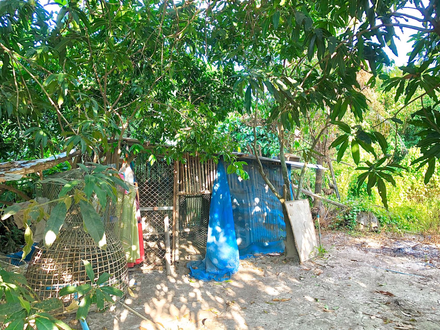 ขายสวนและบ้าน-1ไร่-ตท่าทราย-อเมือง-นครนายก-ติดถนนลาดยาง-ใกล้คลองส่งน้ำ