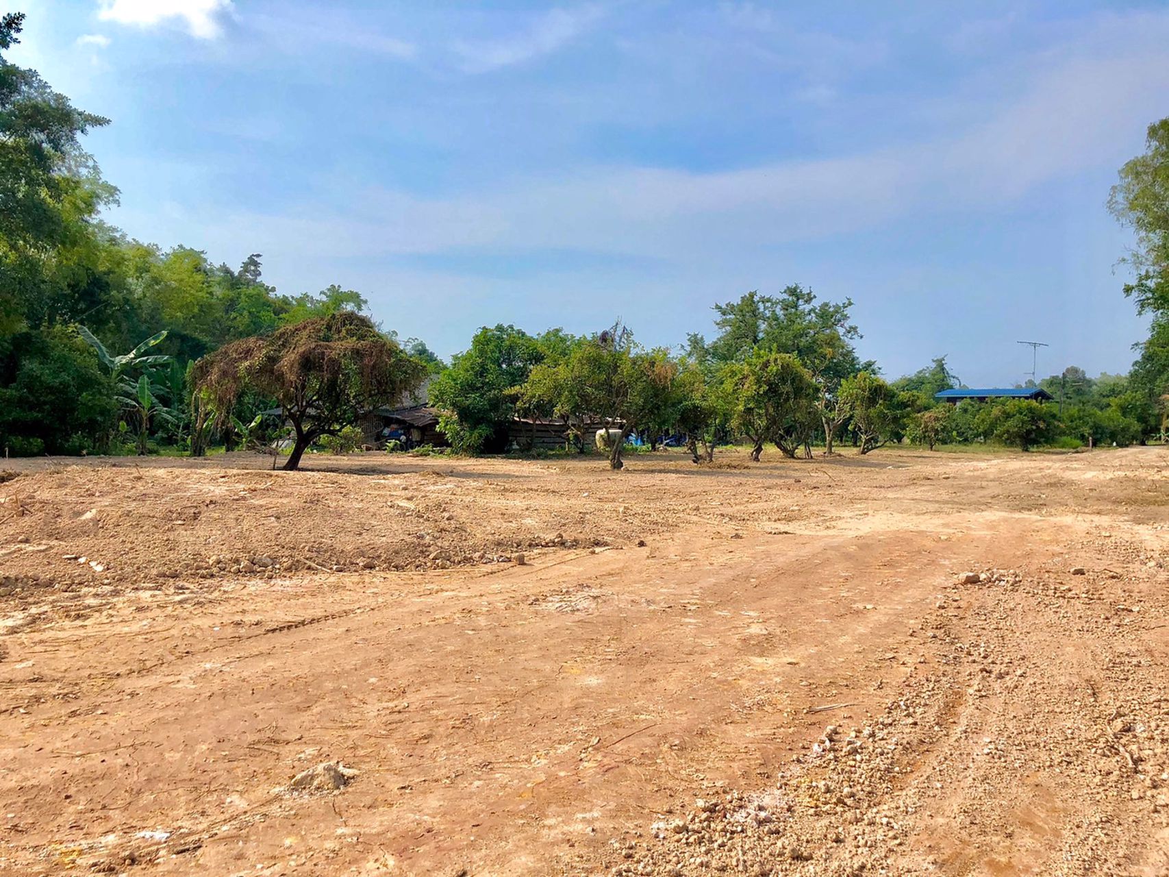 ขายที่สวน-1ไร่-2งาน-167ตรว-ตท่าช้าง-อเมือง-จนครนายก-ห่างตัวเมือง-3กมติดคลองส่งน้ำ