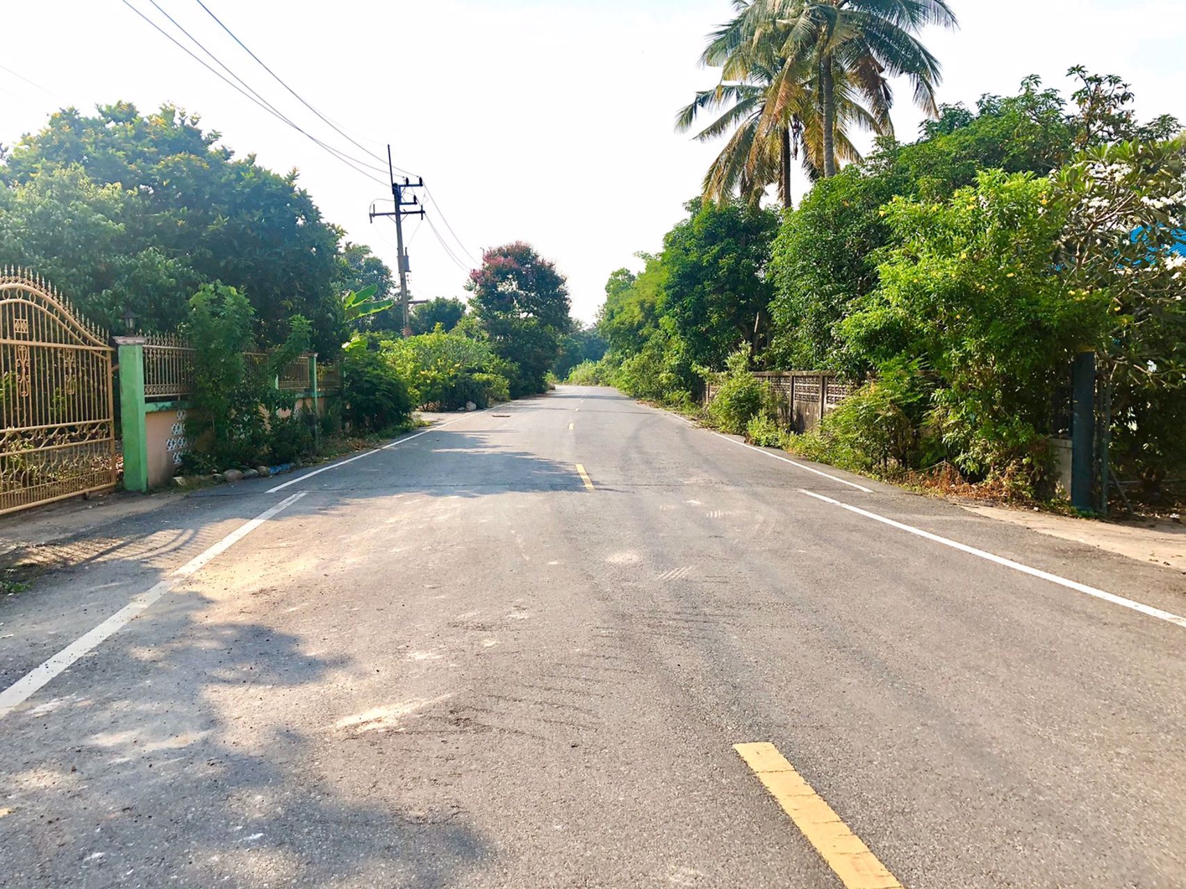 ขายที่สวน-1ไร่-2งาน-167ตรว-ตท่าช้าง-อเมือง-จนครนายก-ห่างตัวเมือง-3กมติดคลองส่งน้ำ