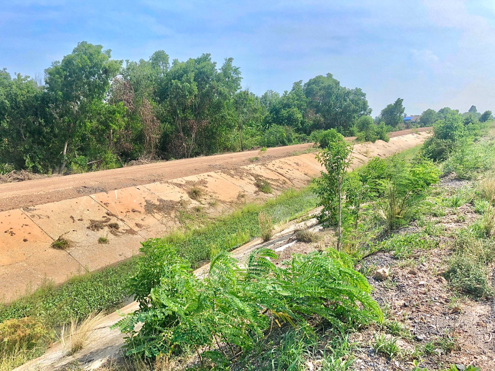 ขายที่-5ไร่-666ตรว-ตบางอ้อ-อบ้านนา-จนครนายก-ติดแม่น้ำนครนายก-ติดลาดยาง