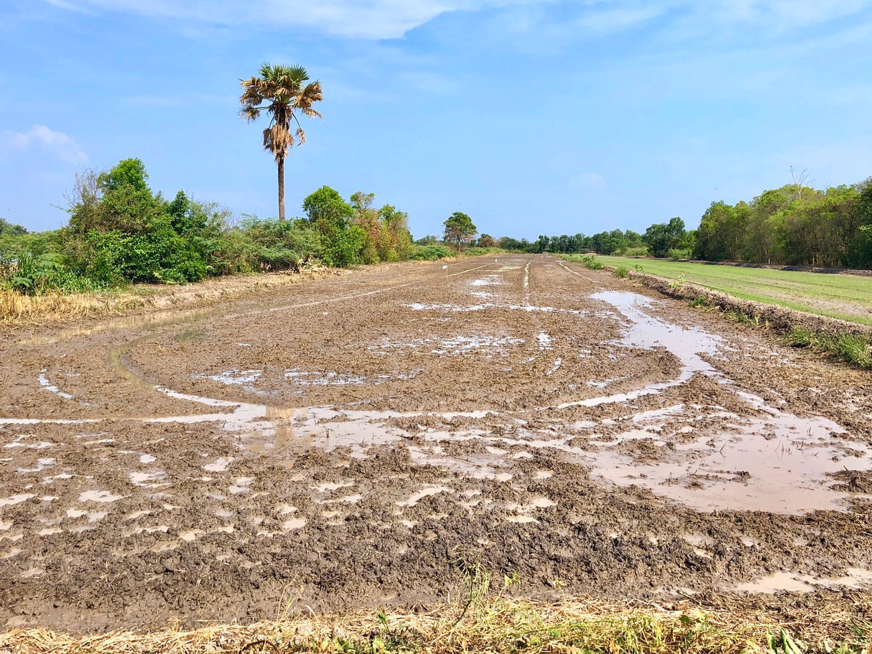 ขายที่-5ไร่-666ตรว-ตบางอ้อ-อบ้านนา-จนครนายก-ติดแม่น้ำนครนายก-ติดลาดยาง