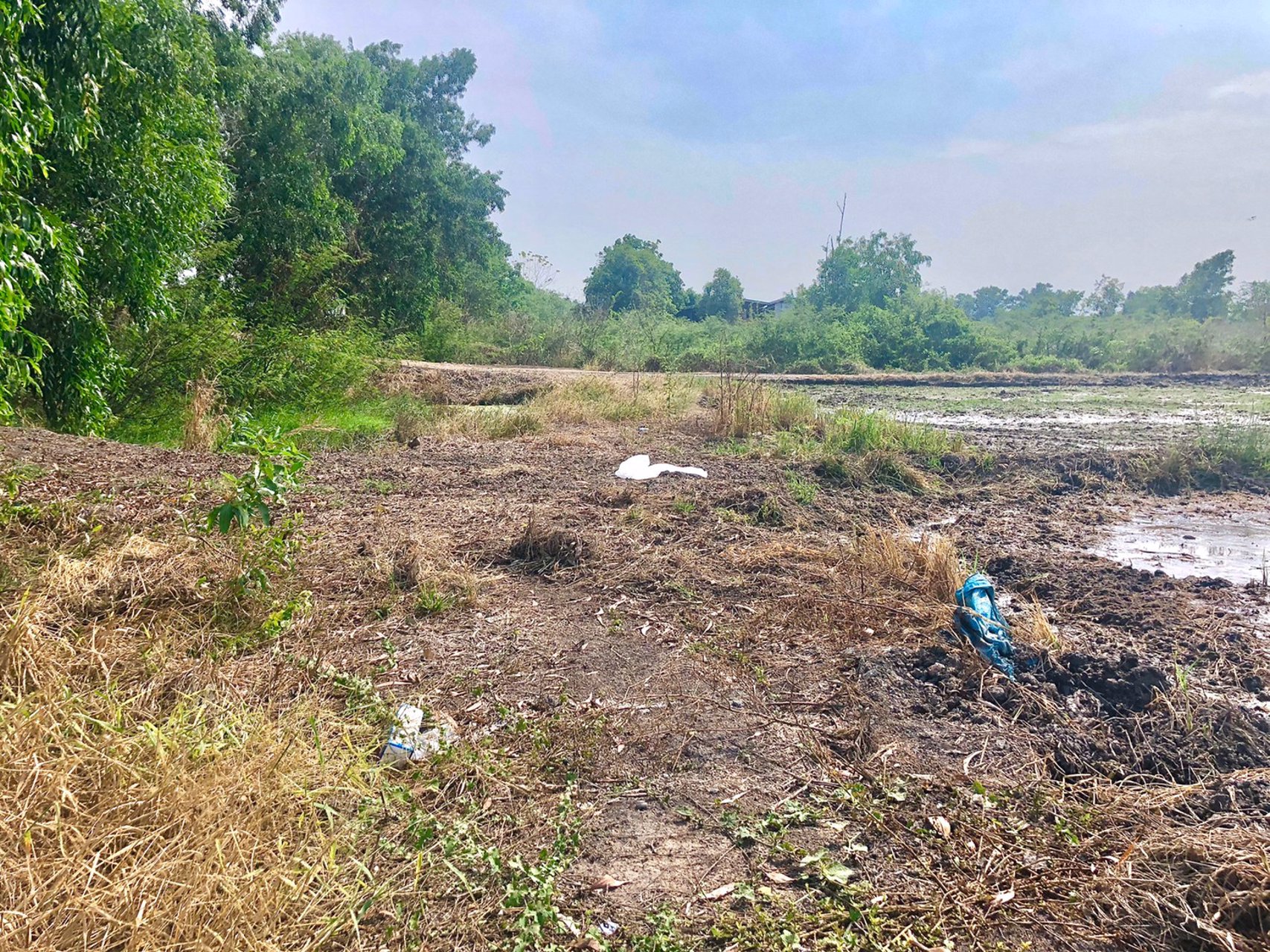 ขายที่-5ไร่-666ตรว-ตบางอ้อ-อบ้านนา-จนครนายก-ติดแม่น้ำนครนายก-ติดลาดยาง
