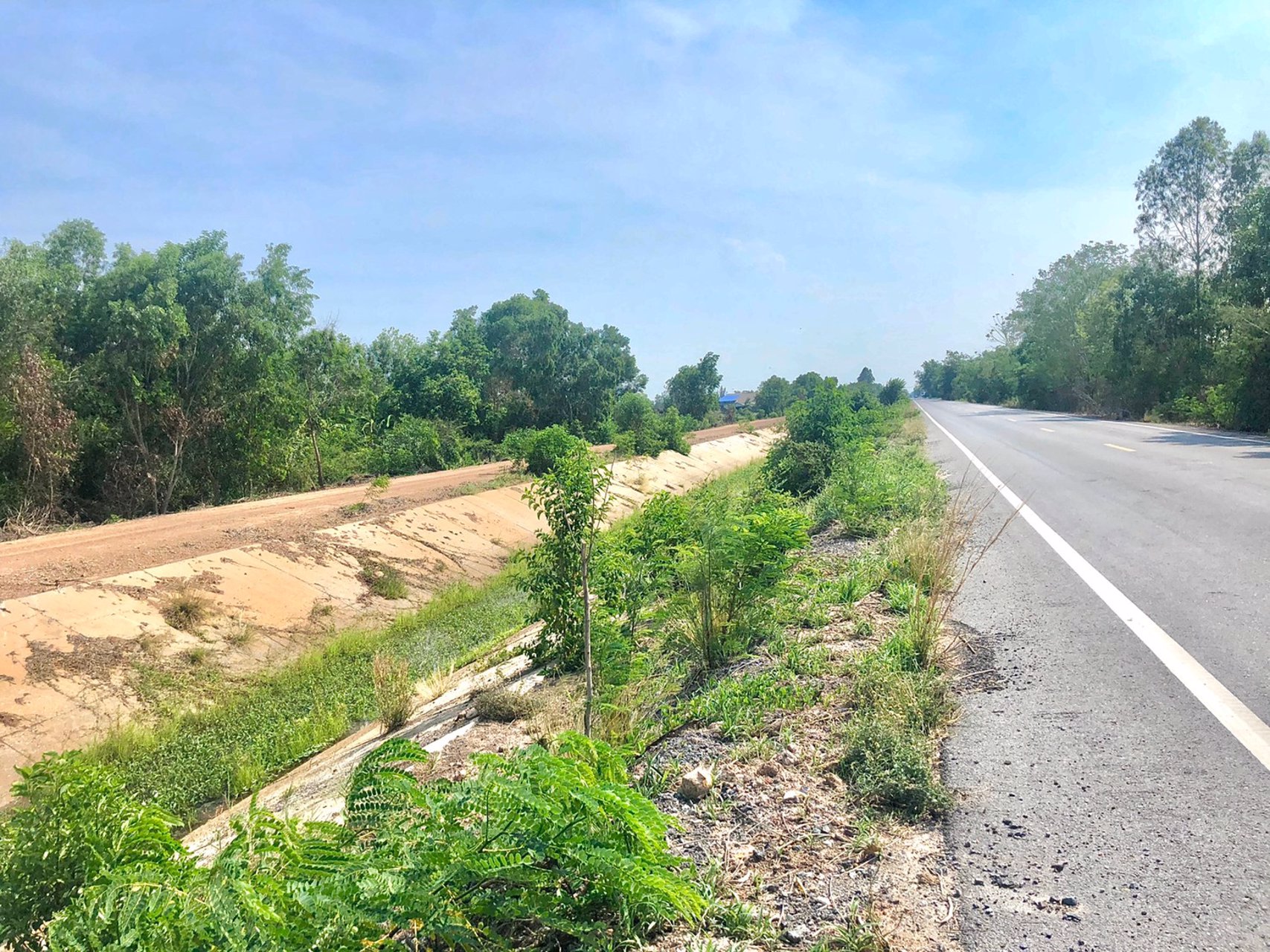 ขายที่-5ไร่-666ตรว-ตบางอ้อ-อบ้านนา-จนครนายก-ติดแม่น้ำนครนายก-ติดลาดยาง