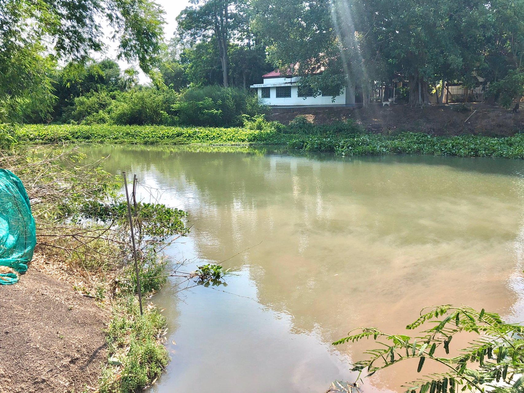 ขายที่-5ไร่-666ตรว-ตบางอ้อ-อบ้านนา-จนครนายก-ติดแม่น้ำนครนายก-ติดลาดยาง