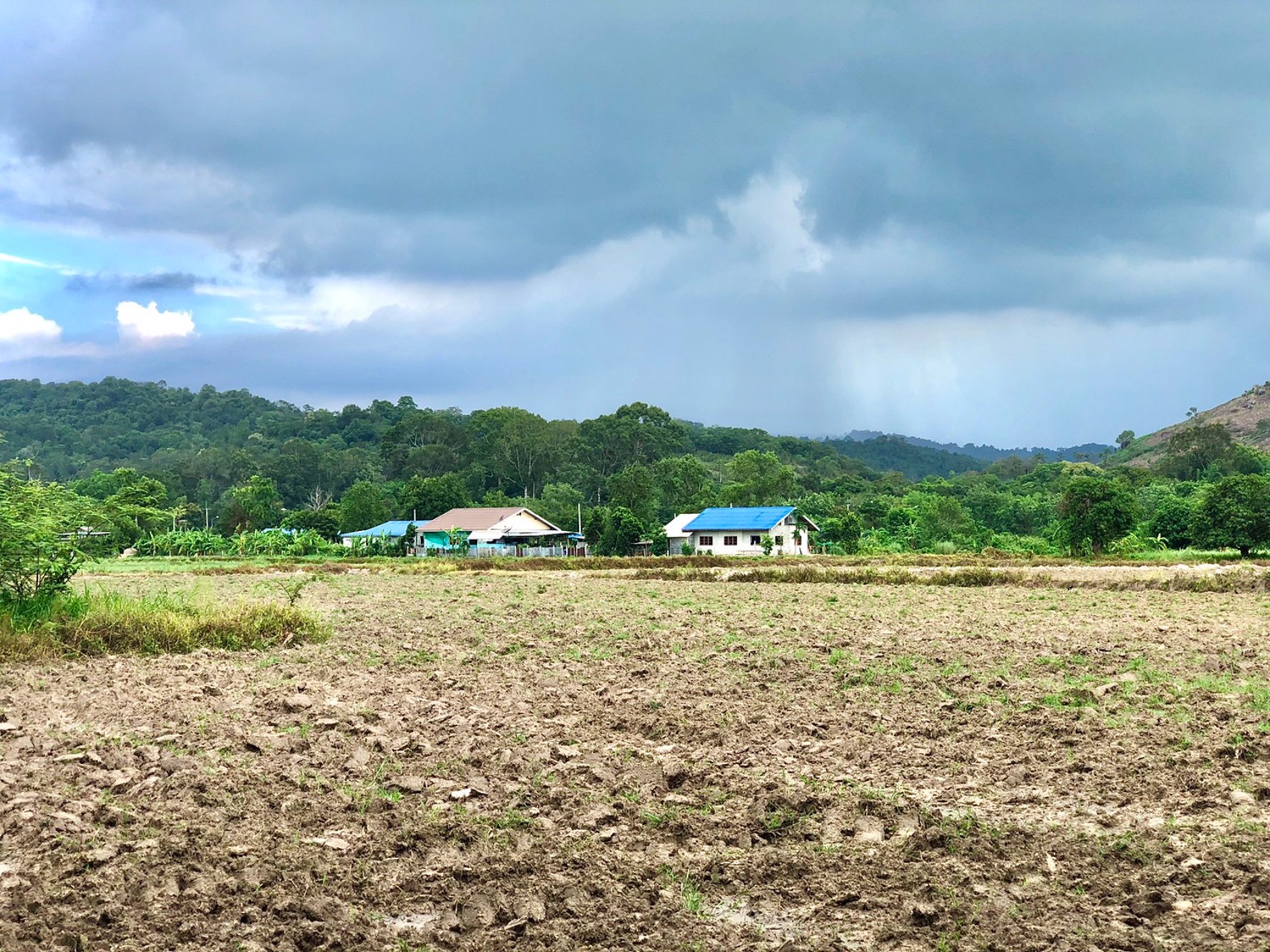 ขายที่สวน-1งาน-79ตรว-ตสาริกา-อเมือง-จนครนายก-ติดคลอง-วิวภูเขา