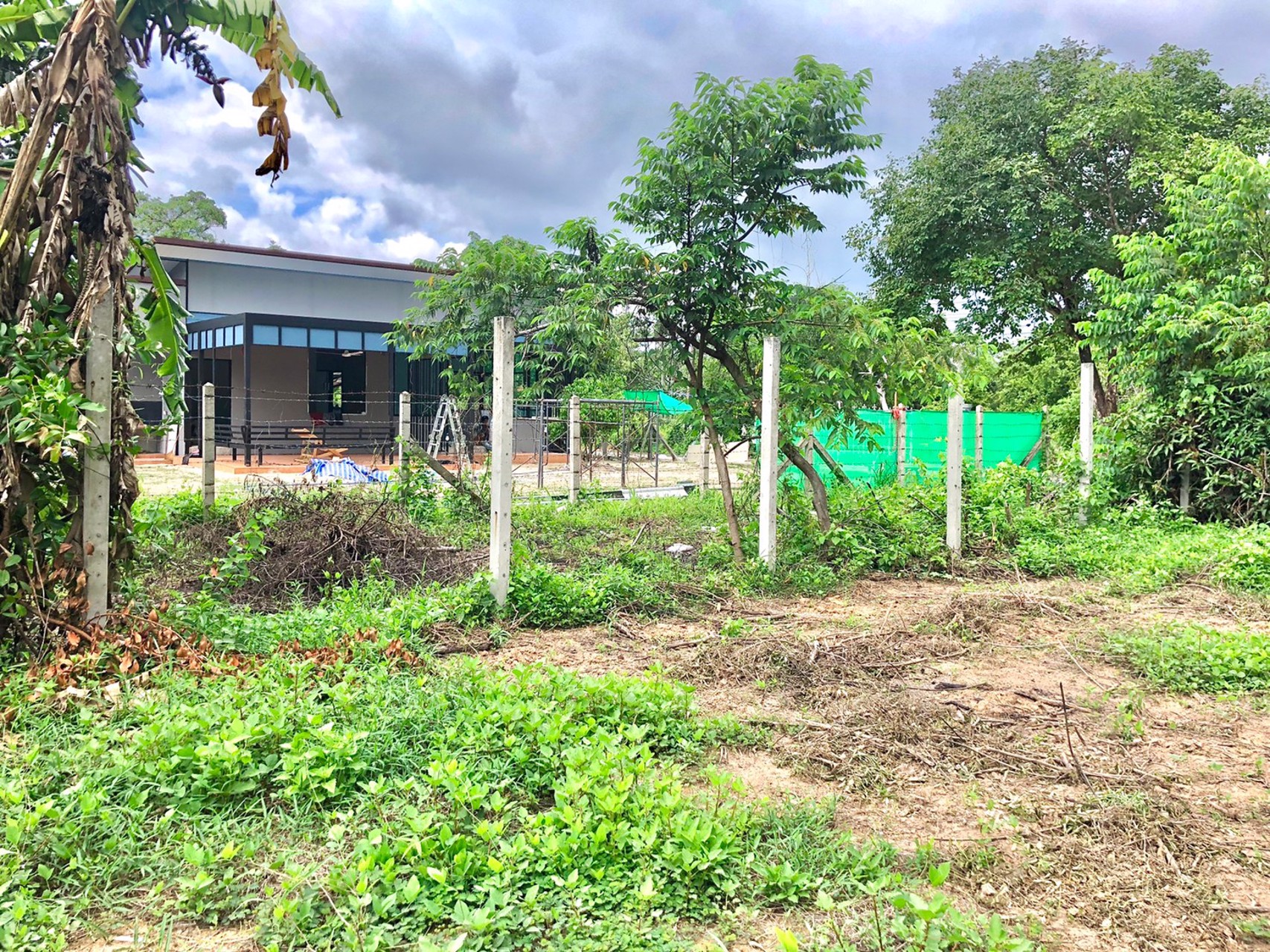 ขายที่สวน-1งาน-79ตรว-ตสาริกา-อเมือง-จนครนายก-ติดคลอง-วิวภูเขา