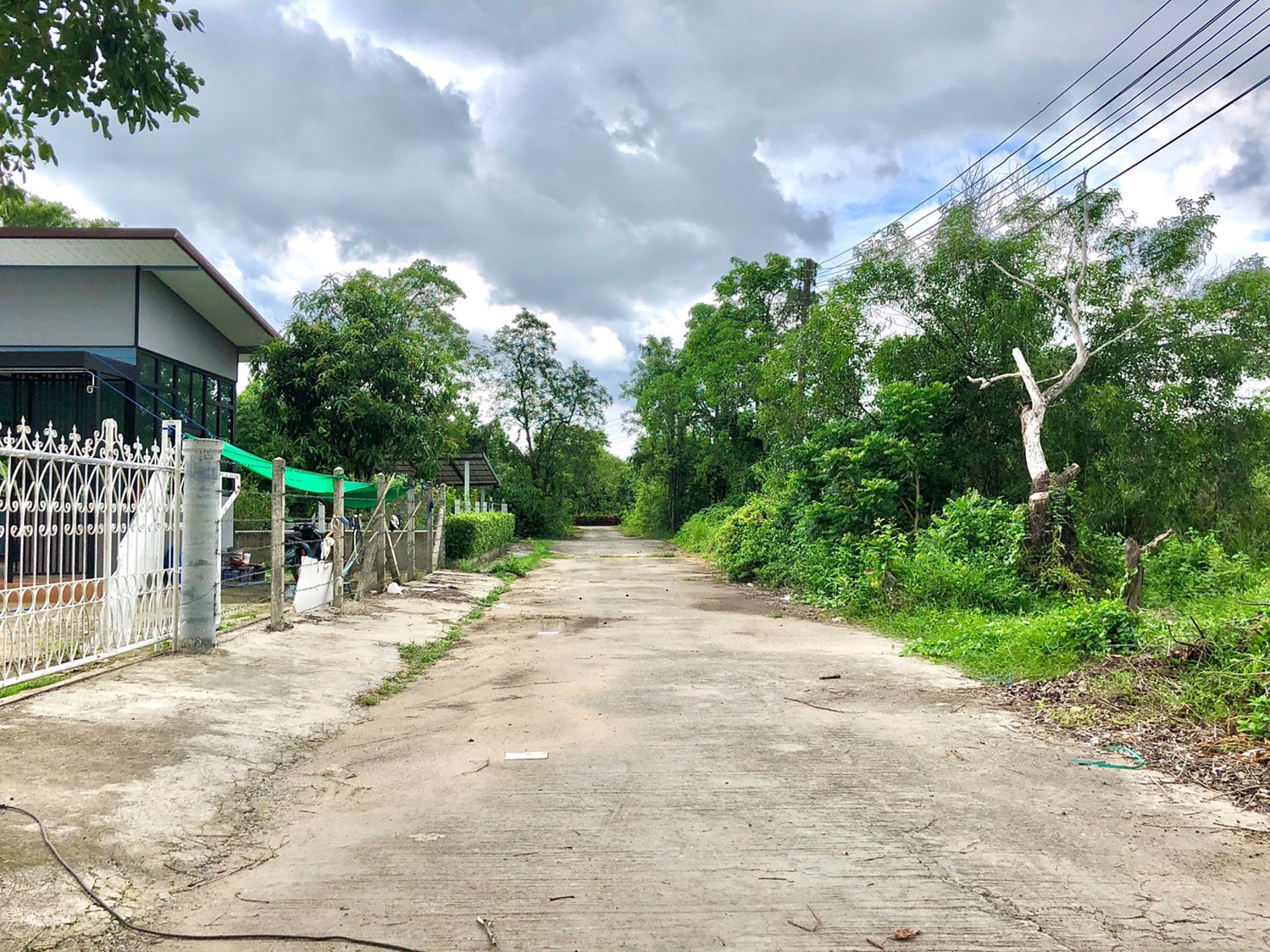 ขายที่สวน-1งาน-79ตรว-ตสาริกา-อเมือง-จนครนายก-ติดคลอง-วิวภูเขา