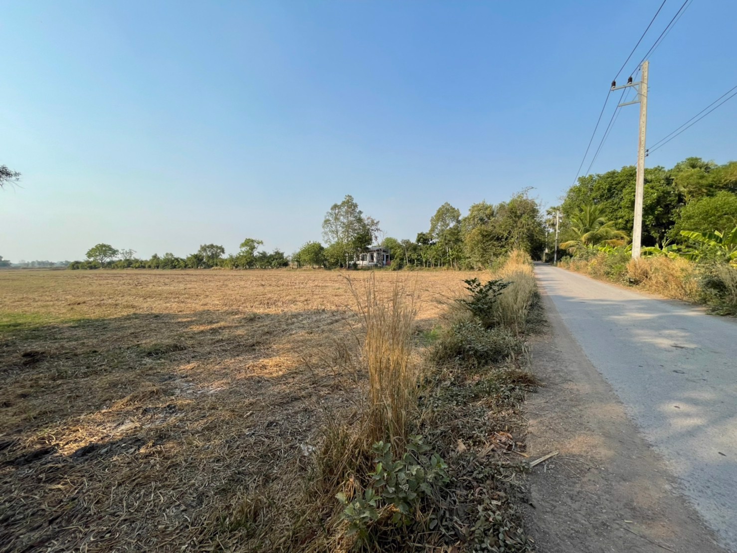 ขายที่ดิน-8ไร่-3งาน-639ตรว-ตท่าทราย-อเมือง-จนครนายก-ติดถนนลาดยาง-หน้ากว้าง