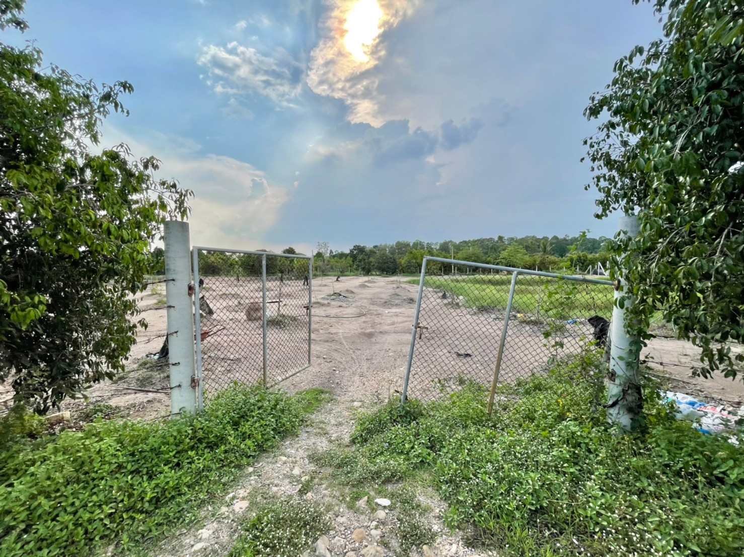 ขายที่สวนมะยงชิด-1-ไร่-ตท่าทราย-อเมือง-จนครนายก-เข้าจากลาดยาง150ม-ติดถนนคอนกรีต