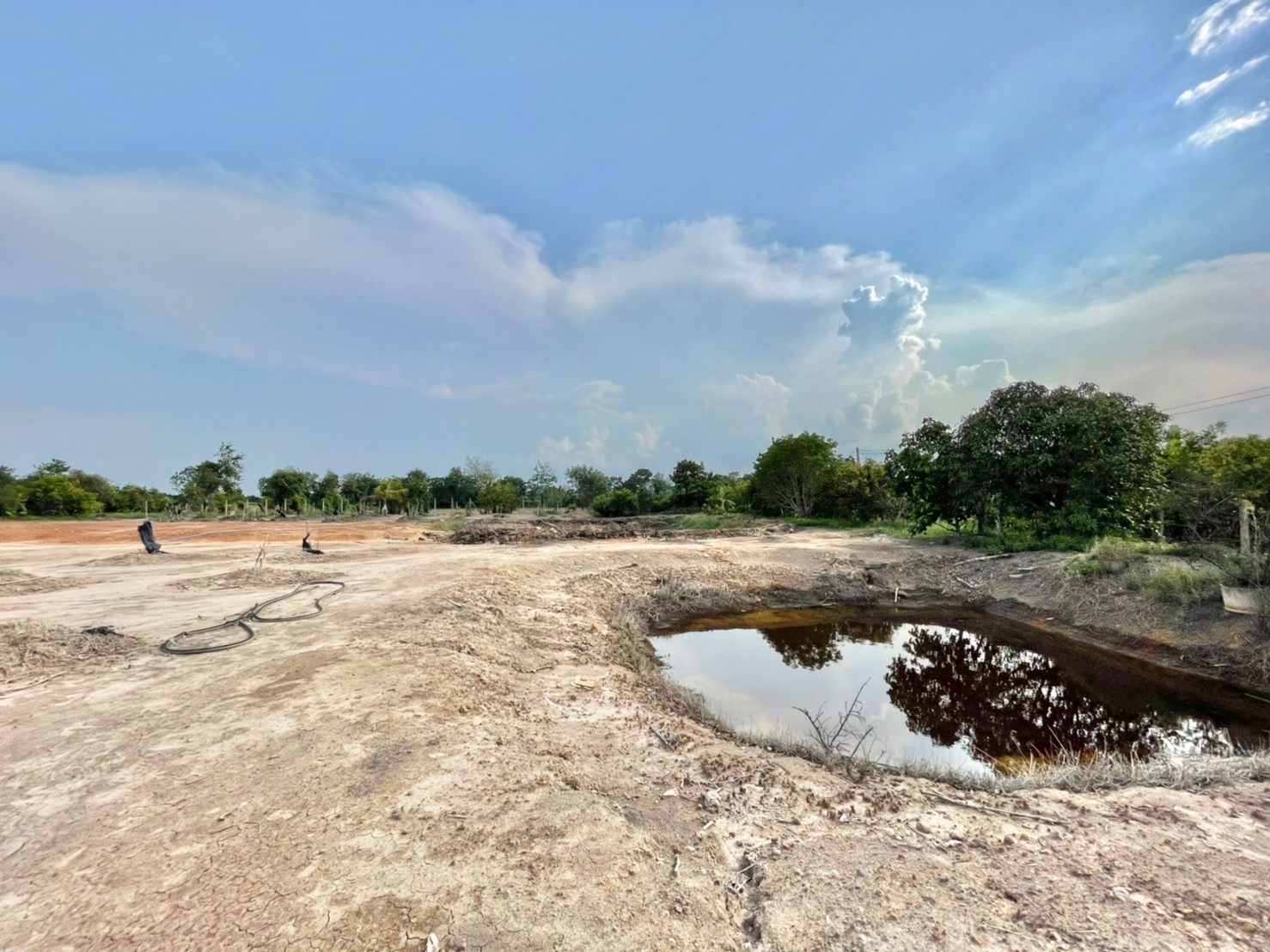 ขายที่สวนมะยงชิด-1-ไร่-ตท่าทราย-อเมือง-จนครนายก-เข้าจากลาดยาง150ม-ติดถนนคอนกรีต