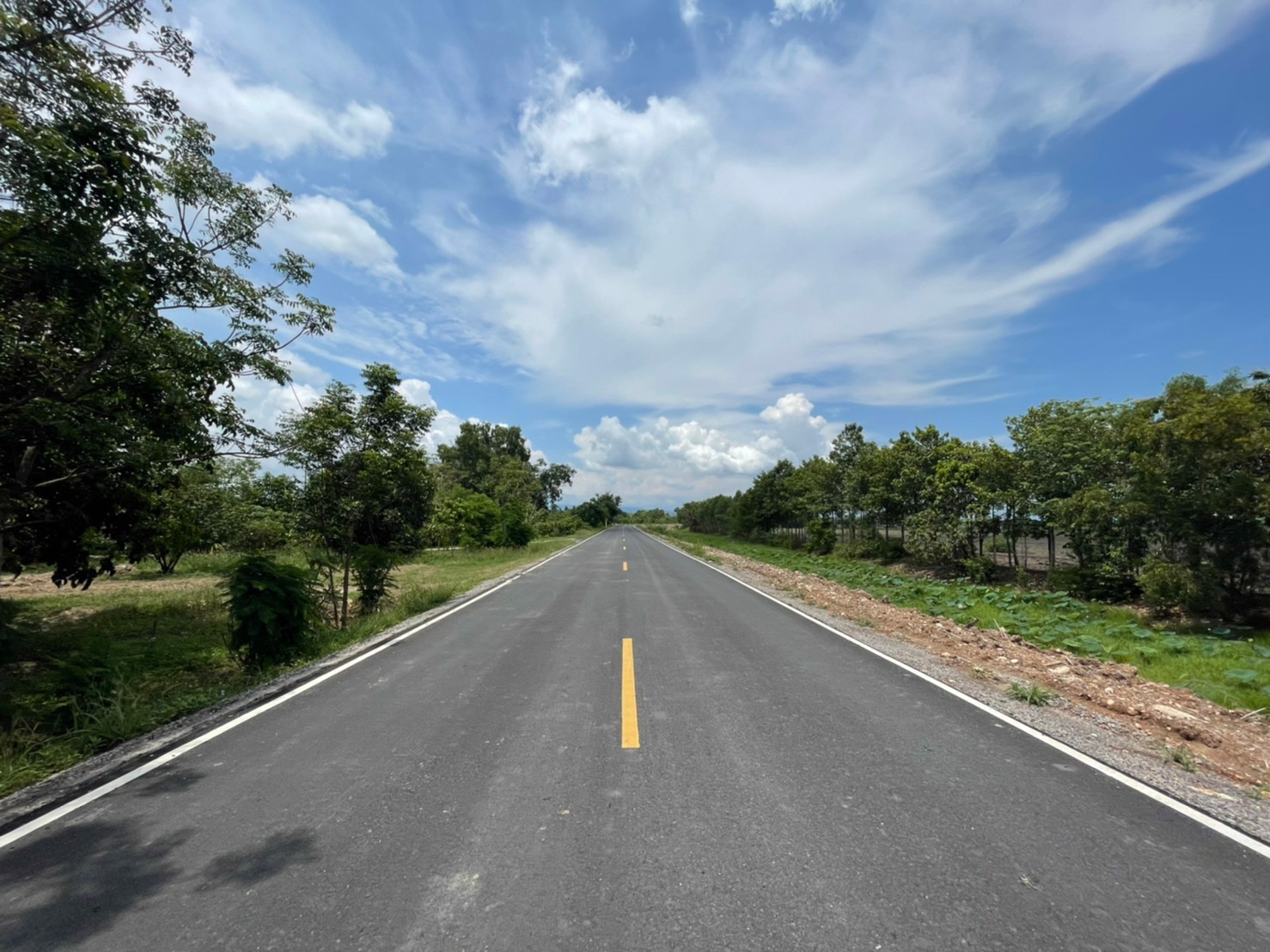 ขายสวนติดถนนลาดยาง-2-เลน-เนื้อที่-1-งาน-59-ตารางวา-ตท่าทราย-อเมือง-จนครนายก-ใกล้คลองส่งน้ำ