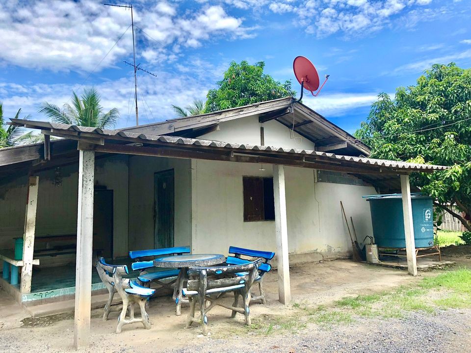 ขายบ้านสวน-ติดถนน-1-งาน-30-ตารางวา-ตท่าช้าง-อเมือง-จนครนายก-ใกล้แหล่งชุมชน