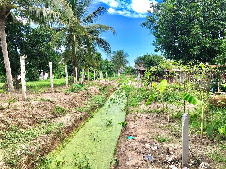 ขายบ้านสวน-ติดถนน-1-งาน-30-ตารางวา-ตท่าช้าง-อเมือง-จนครนายก-ใกล้แหล่งชุมชน