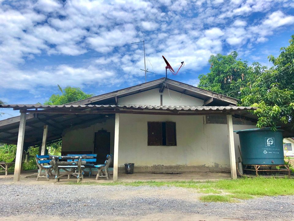 ขายบ้านสวน-ติดถนน-1-งาน-30-ตารางวา-ตท่าช้าง-อเมือง-จนครนายก-ใกล้แหล่งชุมชน