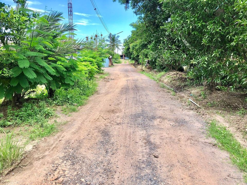 ขายบ้านสวน-ติดถนน-1-งาน-30-ตารางวา-ตท่าช้าง-อเมือง-จนครนายก-ใกล้แหล่งชุมชน