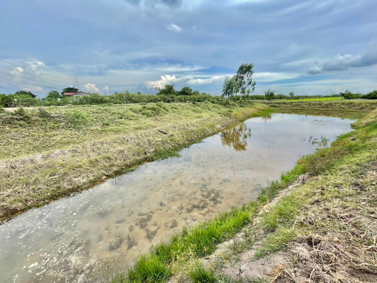 ขายสิทธิ-ที่ถมแล้ว-1-ไร่-2-งาน-ตดงละคร-อเมือง-จนครนายก-ใกล้ร้านครัวลมโชย-ติดถนน