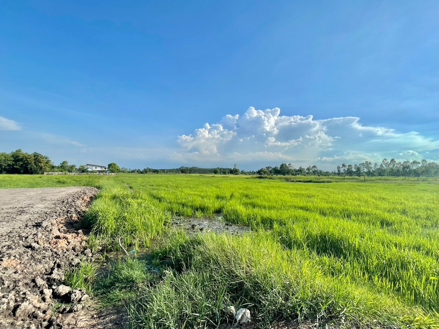 ขายที่นาใกล้ตัวเมืองนครนายก-4-ไร่-1-งาน-66-ตารางวา-ตท่าช้าง-อเมือง-จนครนายก-ติดถนน