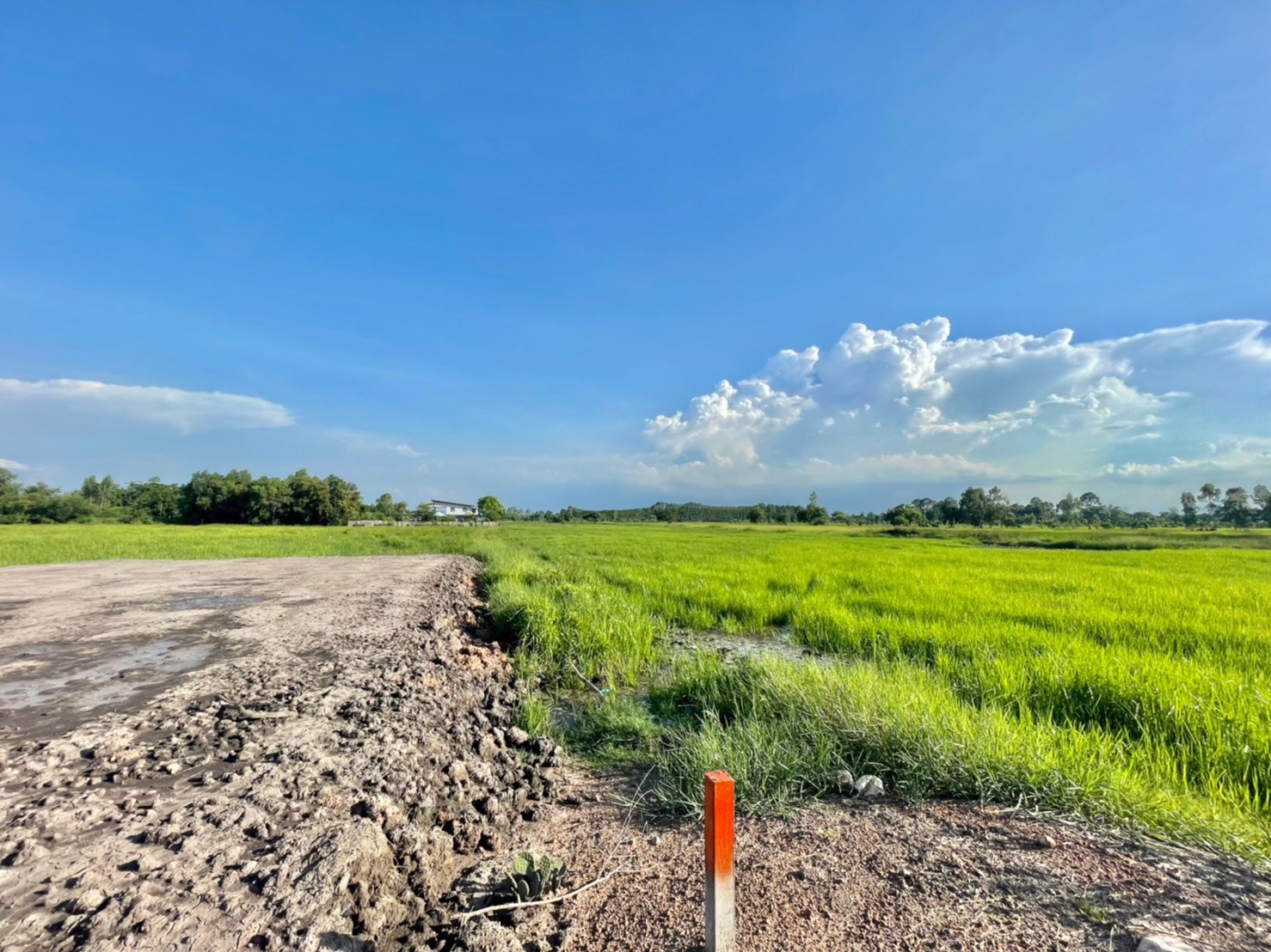 ขายที่นาใกล้ตัวเมืองนครนายก-4-ไร่-1-งาน-66-ตารางวา-ตท่าช้าง-อเมือง-จนครนายก-ติดถนน