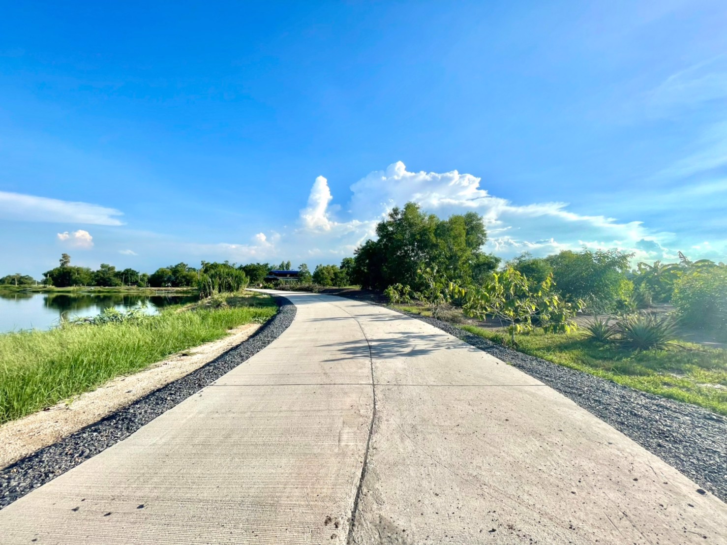 ขายที่นาใกล้ตัวเมืองนครนายก-4-ไร่-1-งาน-66-ตารางวา-ตท่าช้าง-อเมือง-จนครนายก-ติดถนน