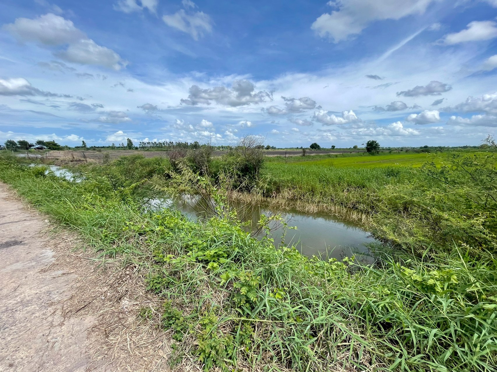ขายที่นาติดคลอง-ติดถนนคอนกรีต-16-ไร่-2-งาน-847-ตารางวา-ตดงละคร-อเมือง-จนครนายก
