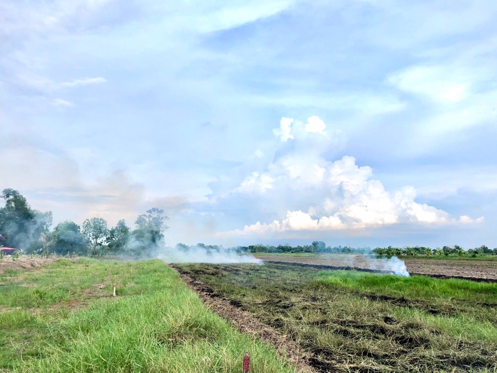 ขายด่วนที่ติดคลองราคา250000บาท-735-ตรว-ตบางอ้อ-อบ้านนา-จนครนายก