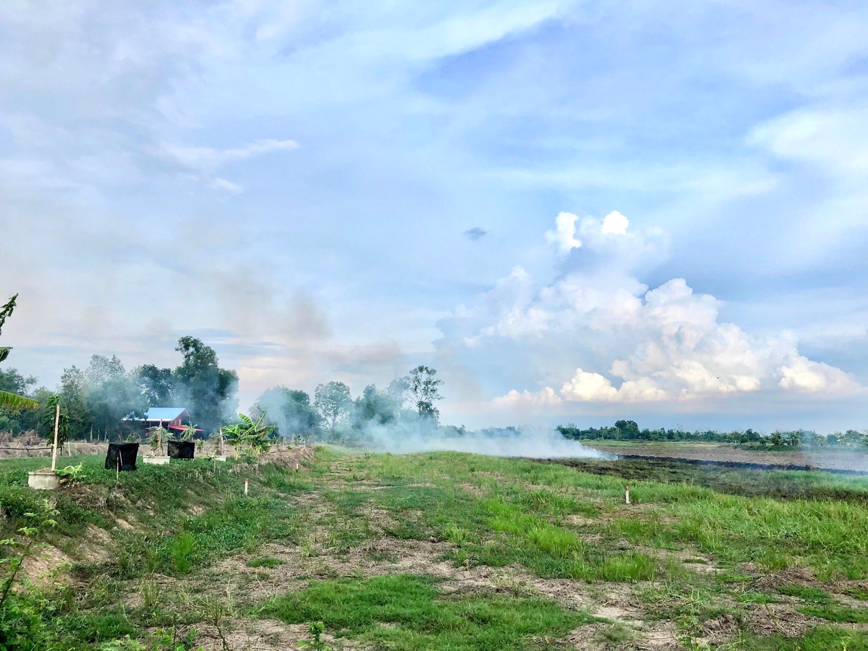 ขายด่วนที่ติดคลองราคา250000บาท-735-ตรว-ตบางอ้อ-อบ้านนา-จนครนายก