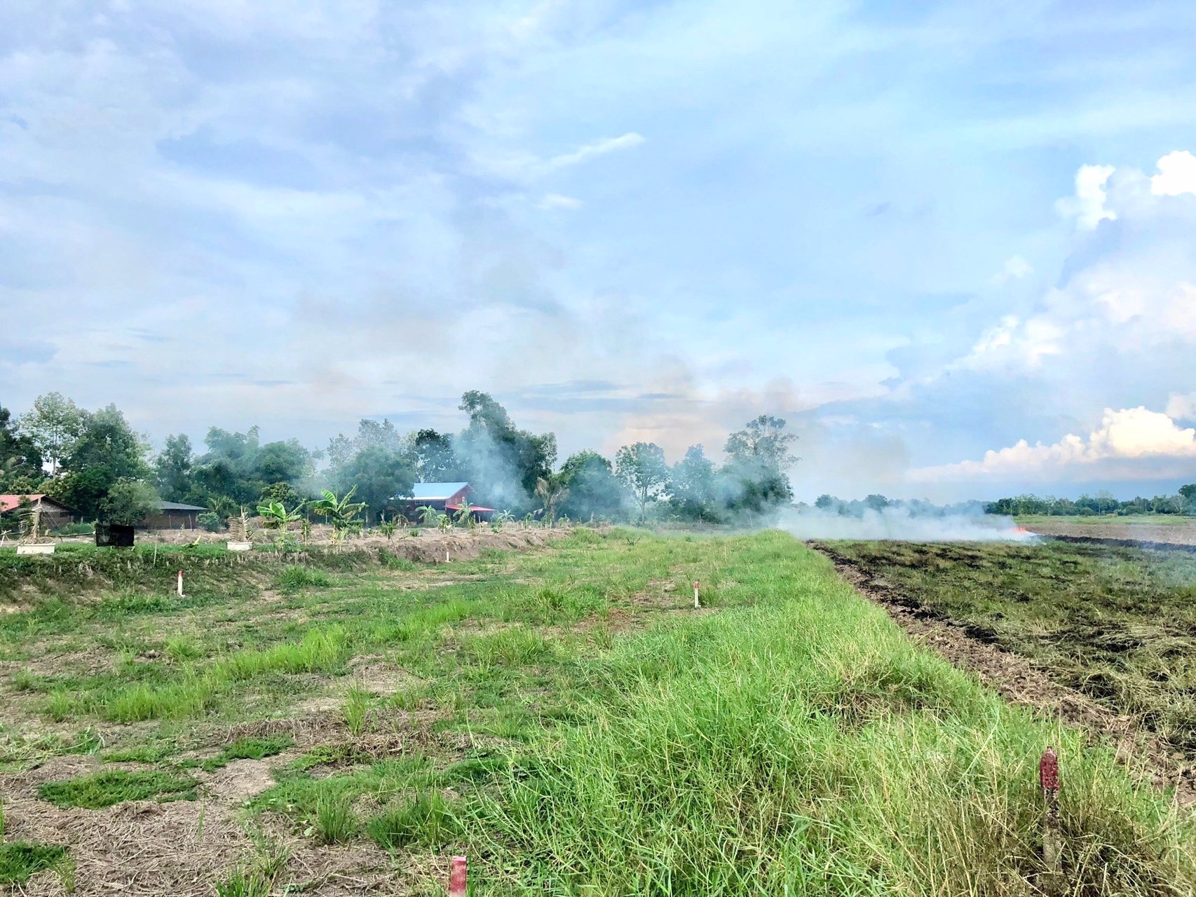 ขายด่วนที่ติดคลองราคา250000บาท-735-ตรว-ตบางอ้อ-อบ้านนา-จนครนายก