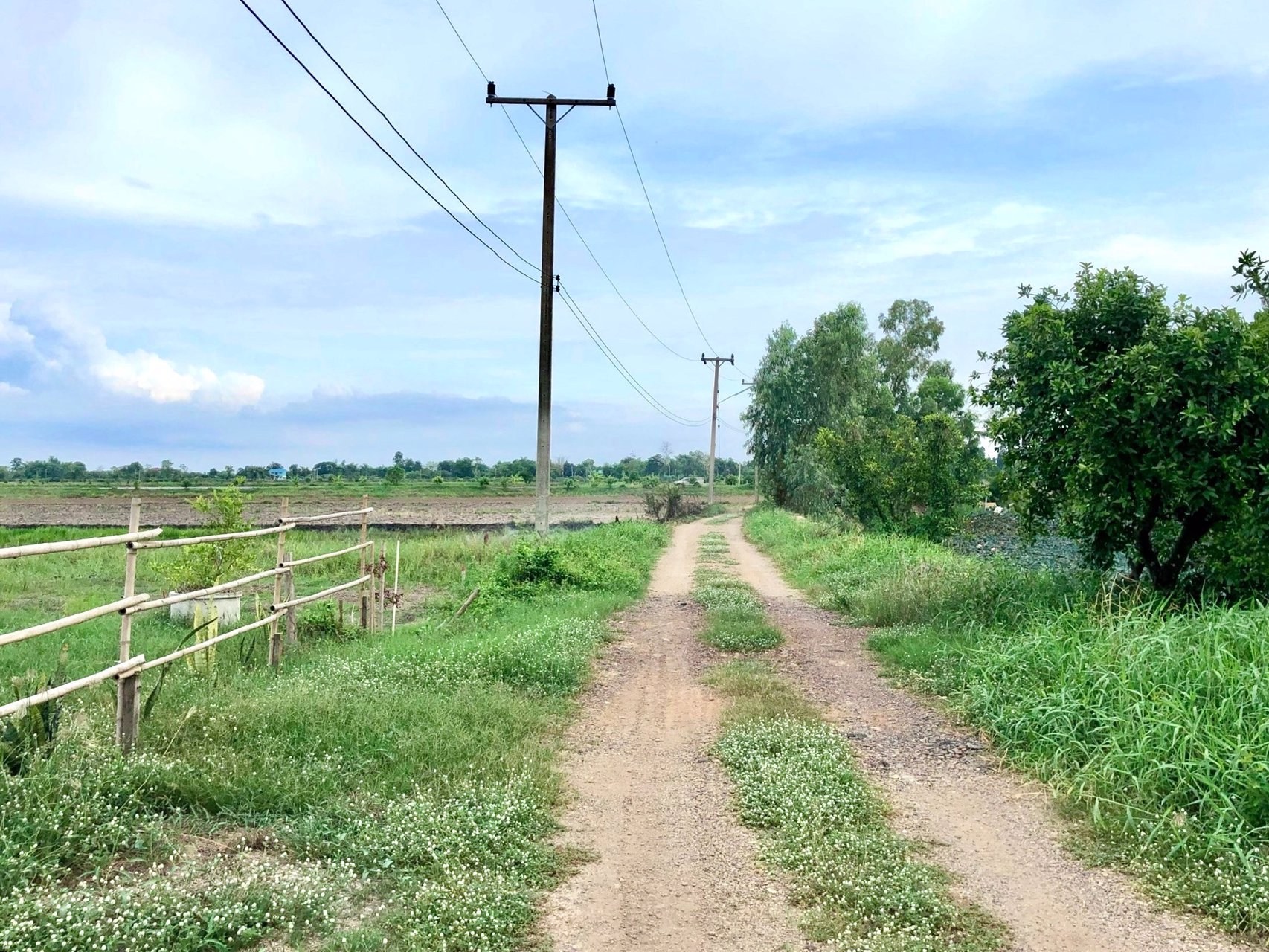 ขายด่วนที่ติดคลองราคา250000บาท-735-ตรว-ตบางอ้อ-อบ้านนา-จนครนายก