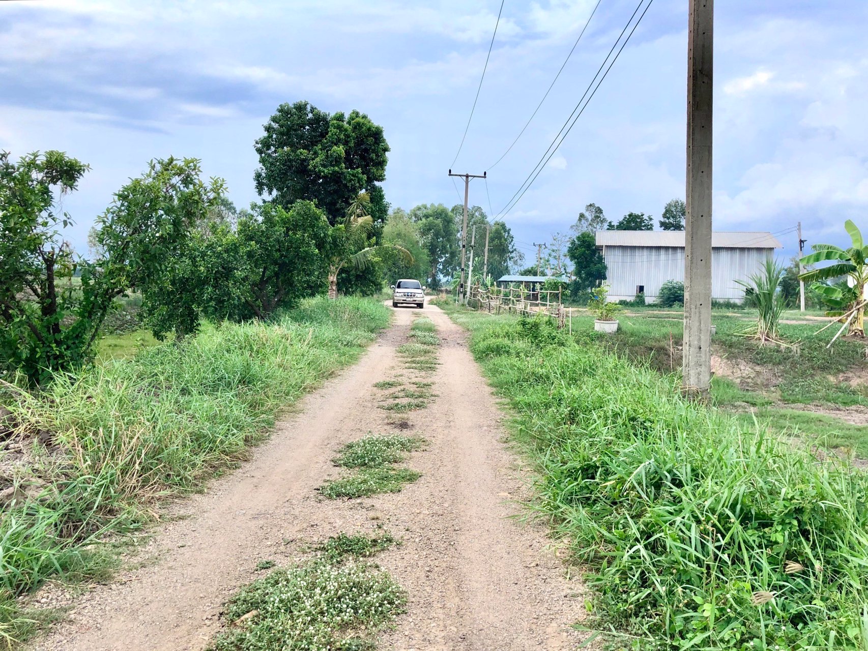 ขายด่วนที่ติดคลองราคา250000บาท-735-ตรว-ตบางอ้อ-อบ้านนา-จนครนายก