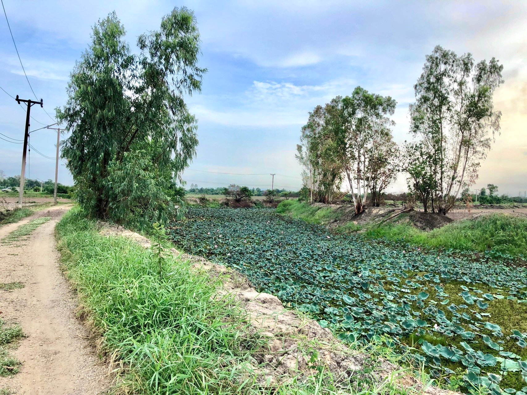 ขายด่วนที่ติดคลองราคา250000บาท-735-ตรว-ตบางอ้อ-อบ้านนา-จนครนายก