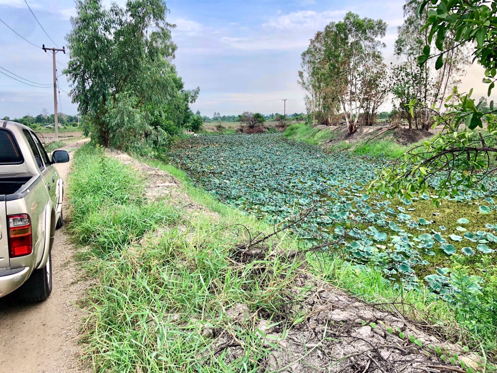 ขายด่วนที่ติดคลองราคา250000บาท-735-ตรว-ตบางอ้อ-อบ้านนา-จนครนายก