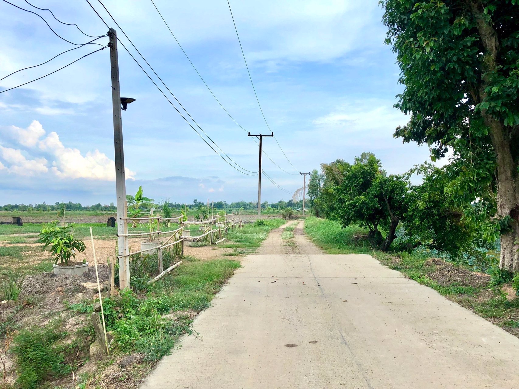 ขายด่วนที่ติดคลองราคา250000บาท-735-ตรว-ตบางอ้อ-อบ้านนา-จนครนายก