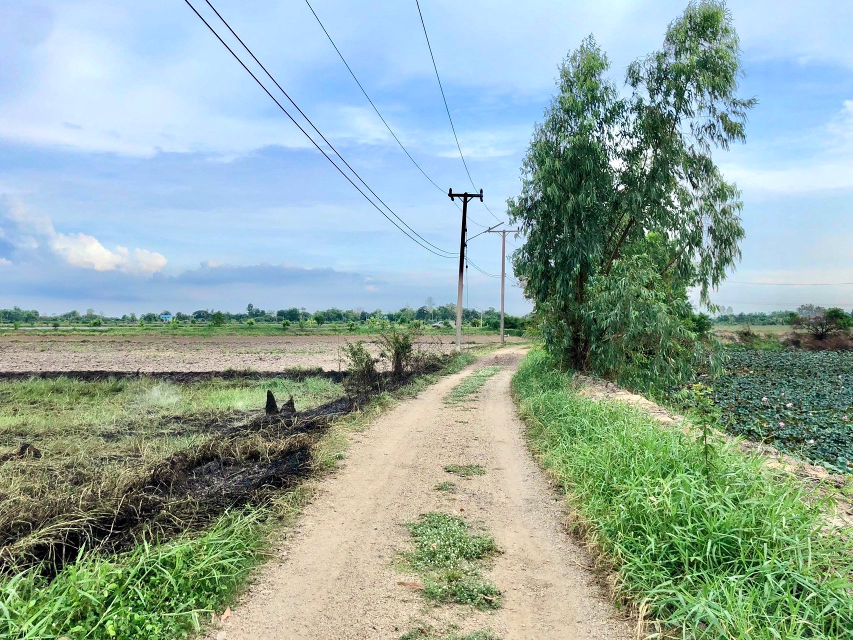 ขายด่วนที่ติดคลองราคา250000บาท-735-ตรว-ตบางอ้อ-อบ้านนา-จนครนายก