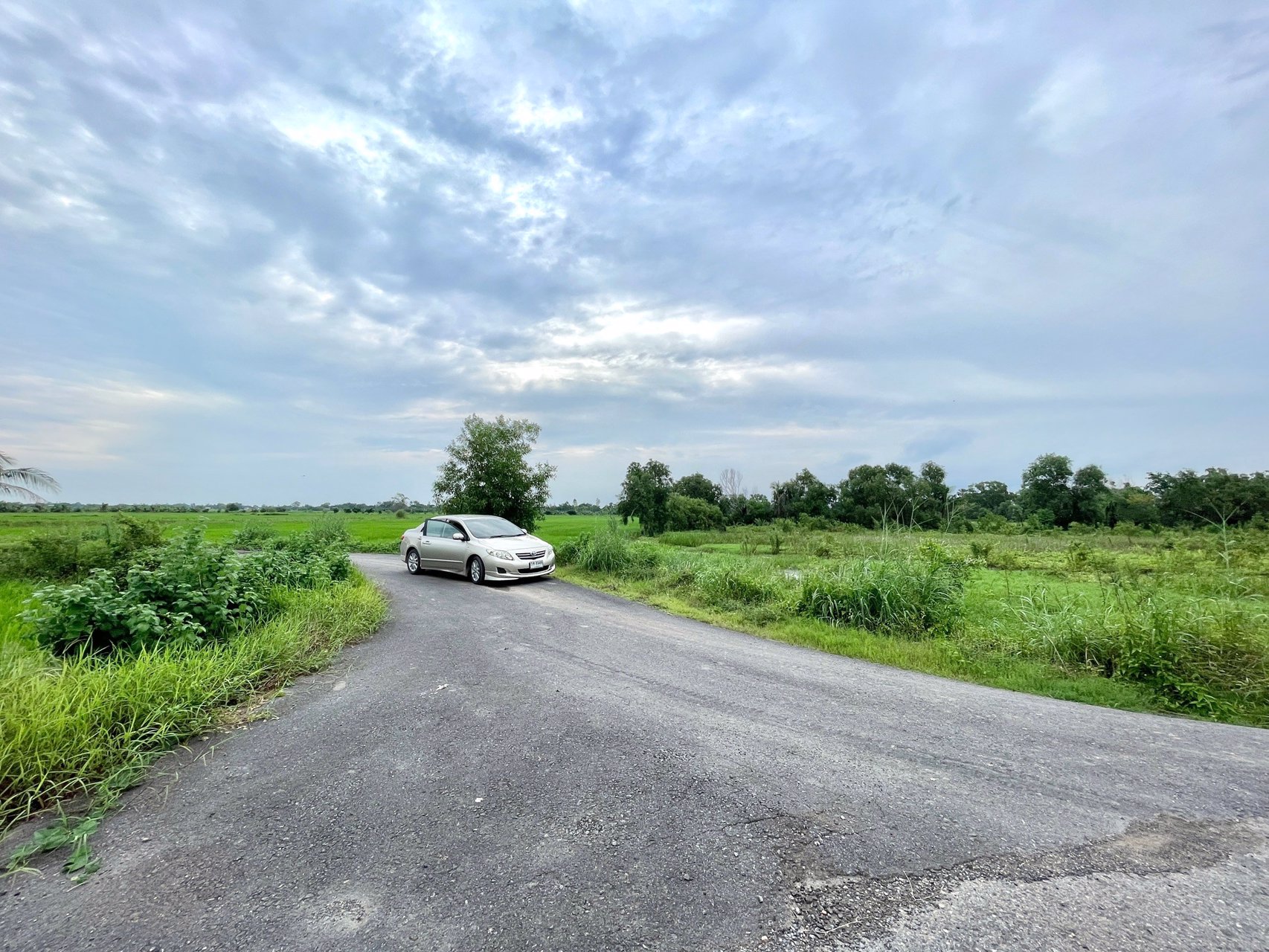 ขายที่นาราคาถูก-3-ไร่-2-งาน-164-ตารางวา-ตท่าทราย-อเมือง-จนครนายก-ติดถนน-ใกล้เมือง